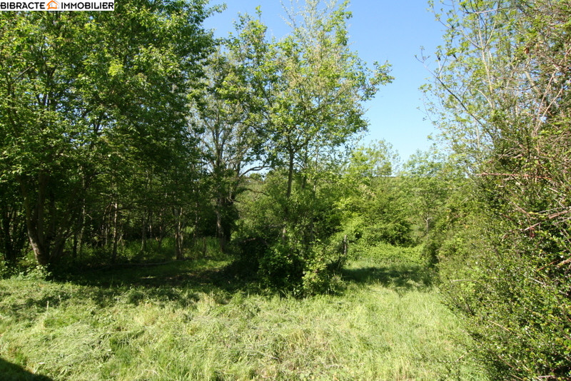 Photo 5 — Bibracte Immobilier