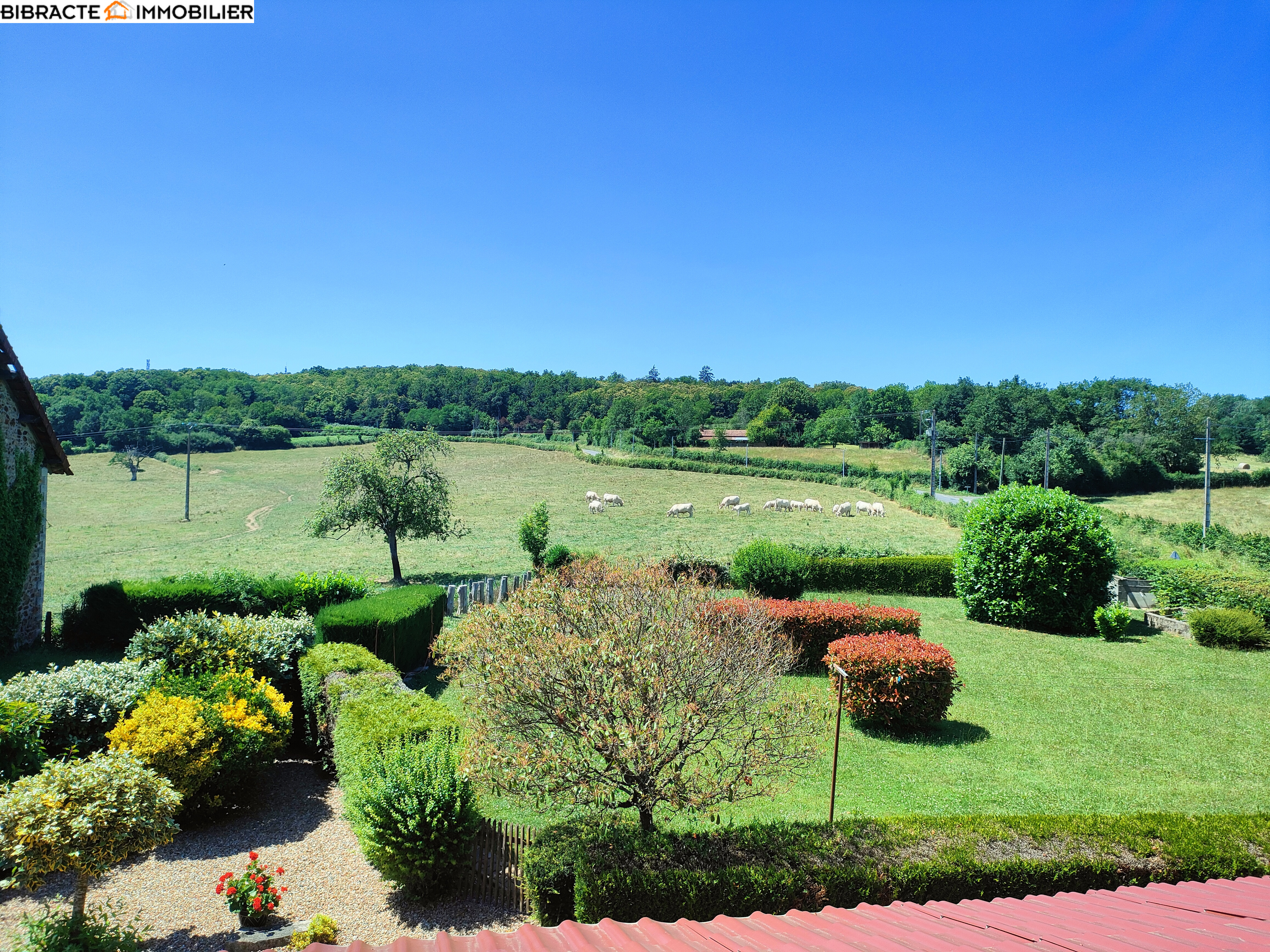 Photo 7 — Bibracte Immobilier