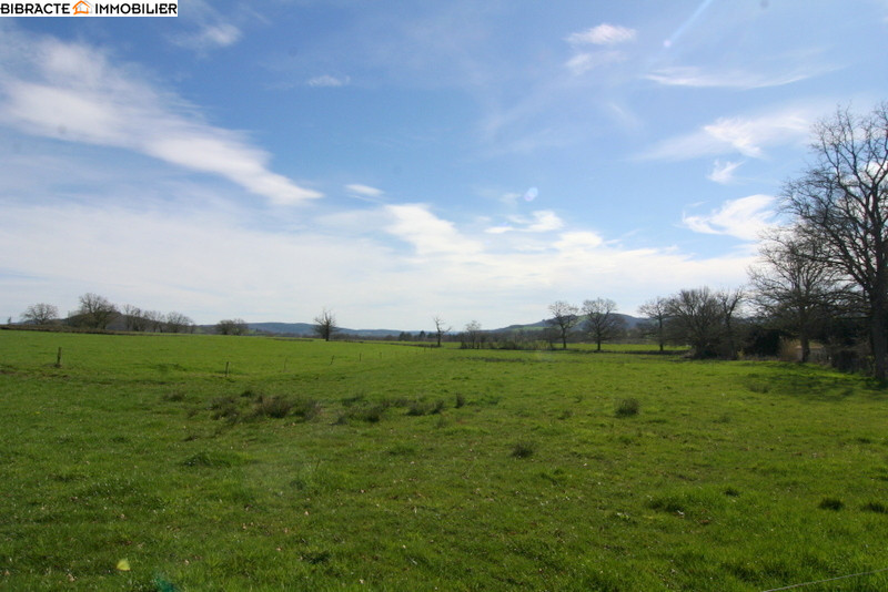 Photo 9 — Bibracte Immobilier