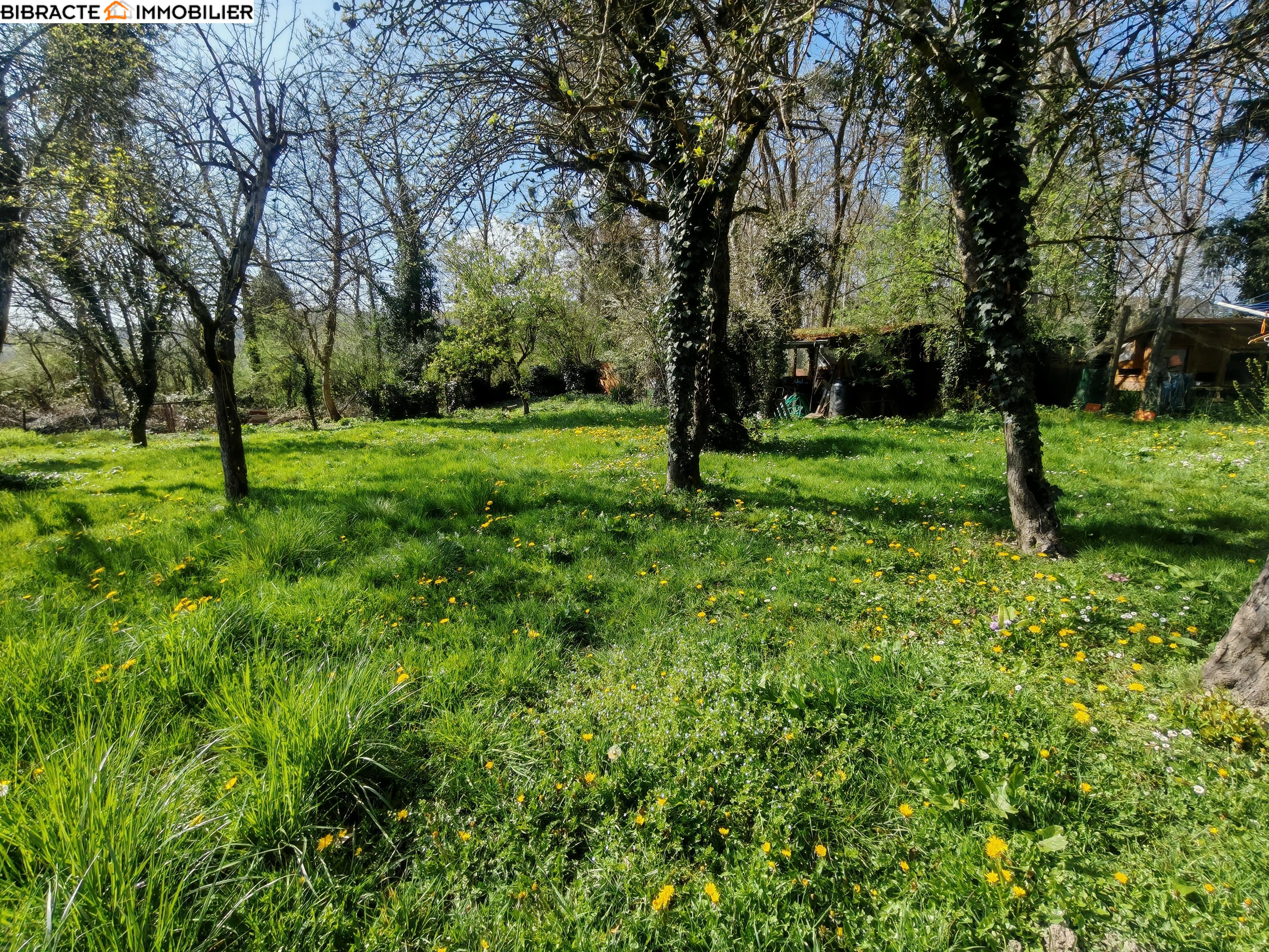 Photo 5 — Bibracte Immobilier