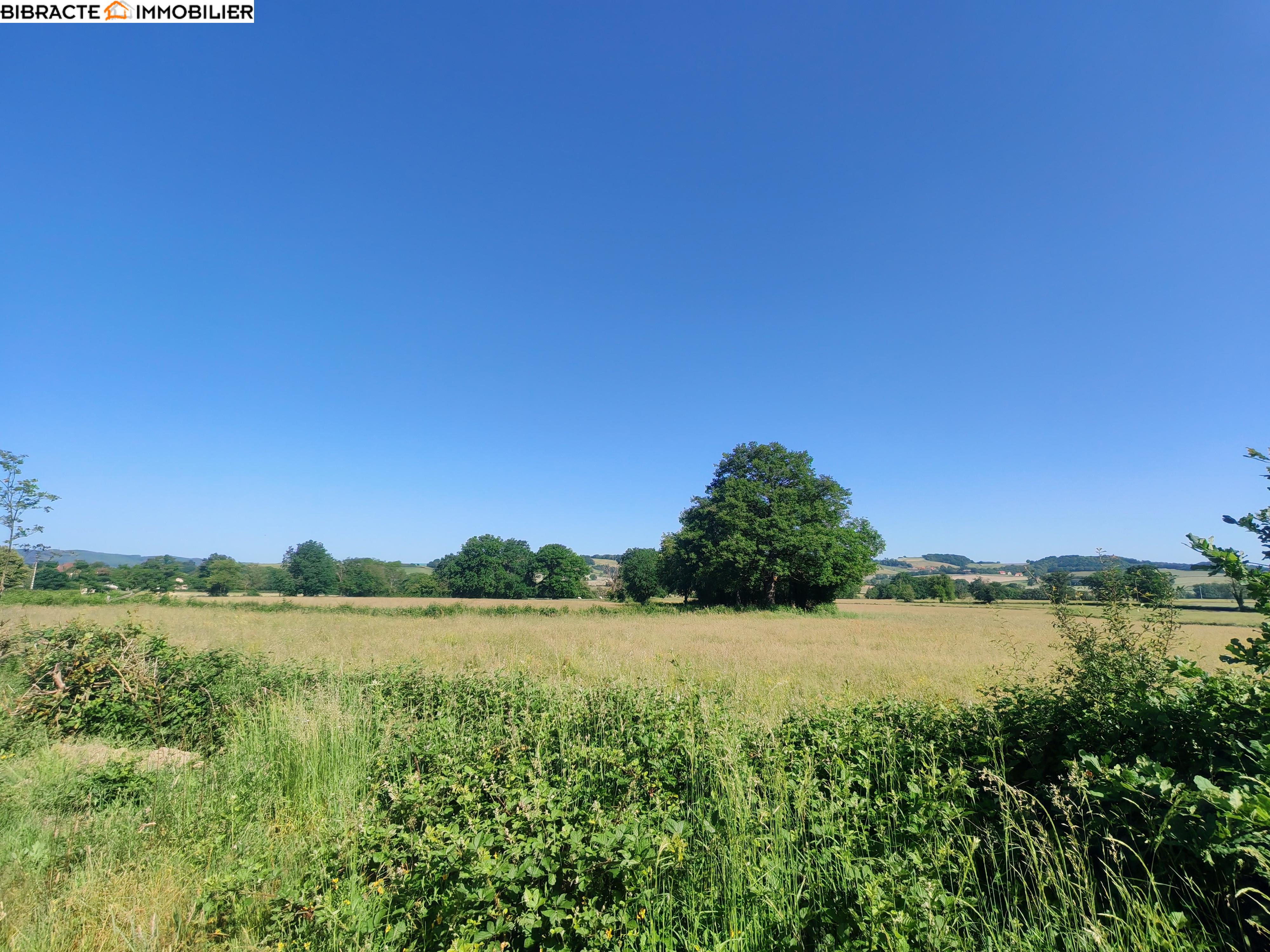 Photo 7 — Bibracte Immobilier