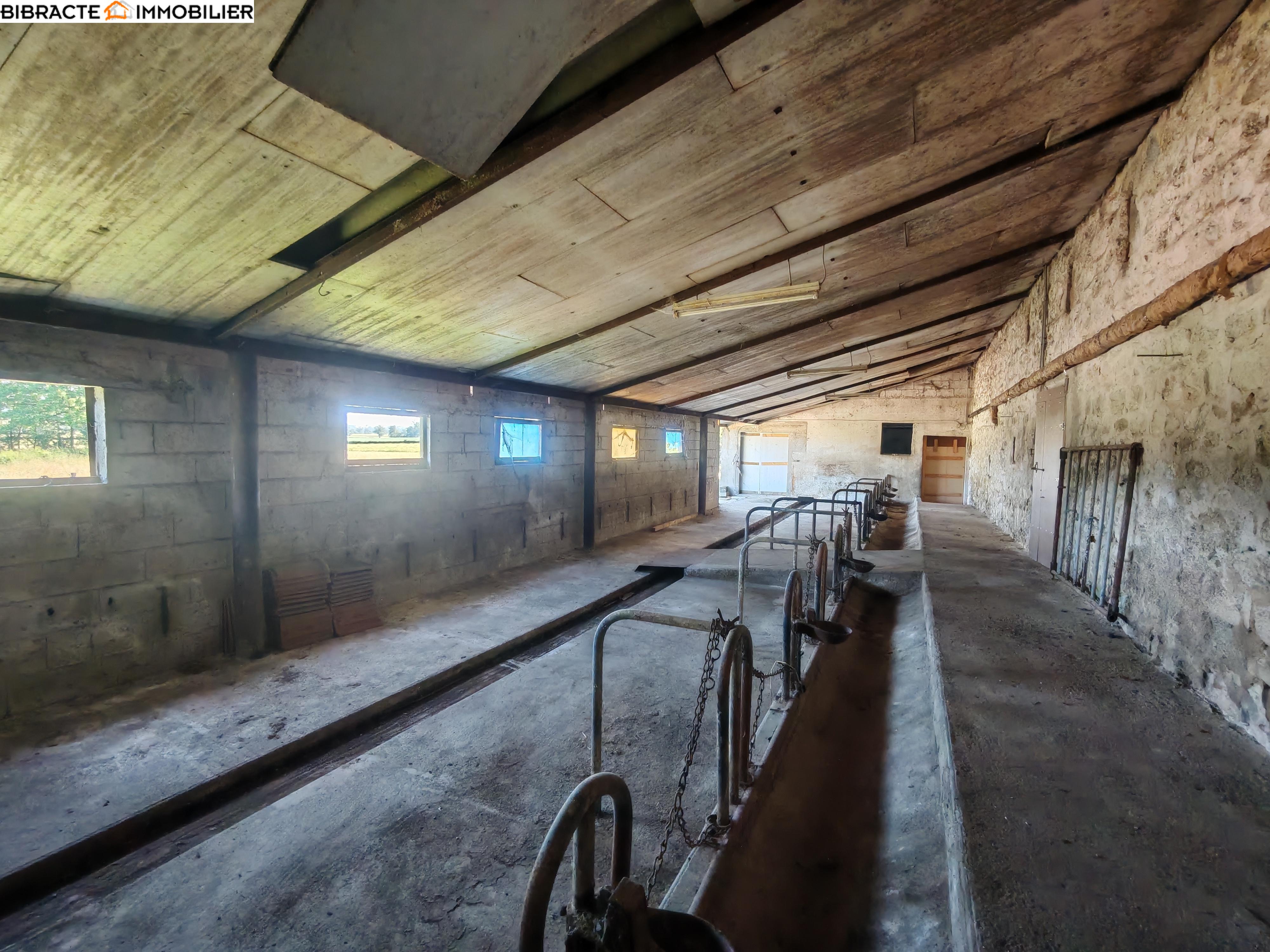 Photo 17 — Bibracte Immobilier