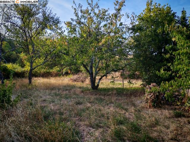 Photo 3 — Bibracte Immobilier