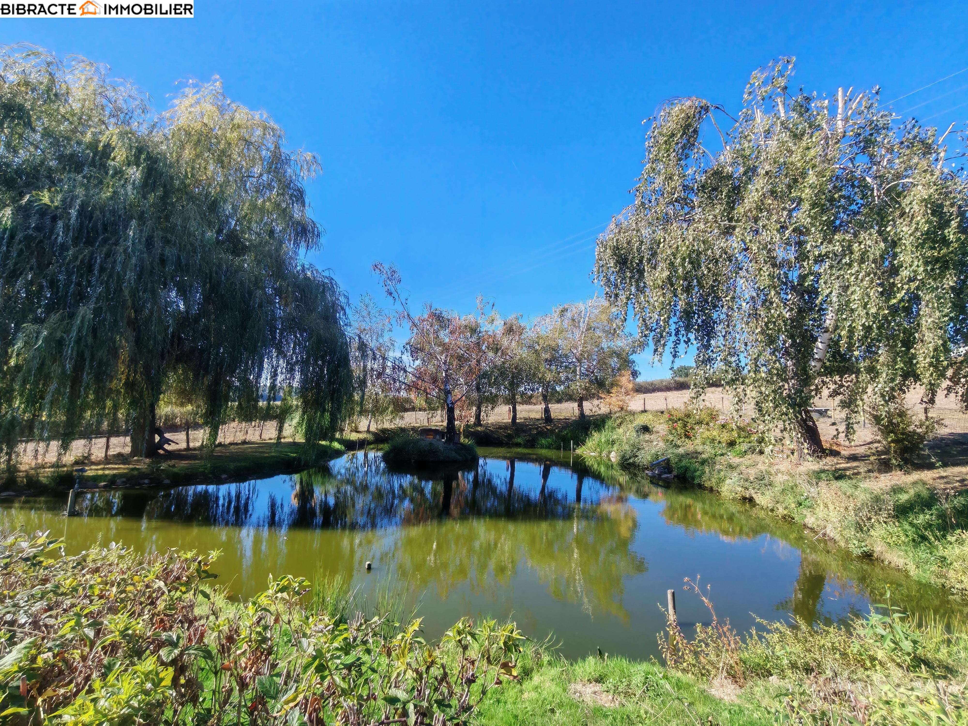 Photo 7 — Bibracte Immobilier