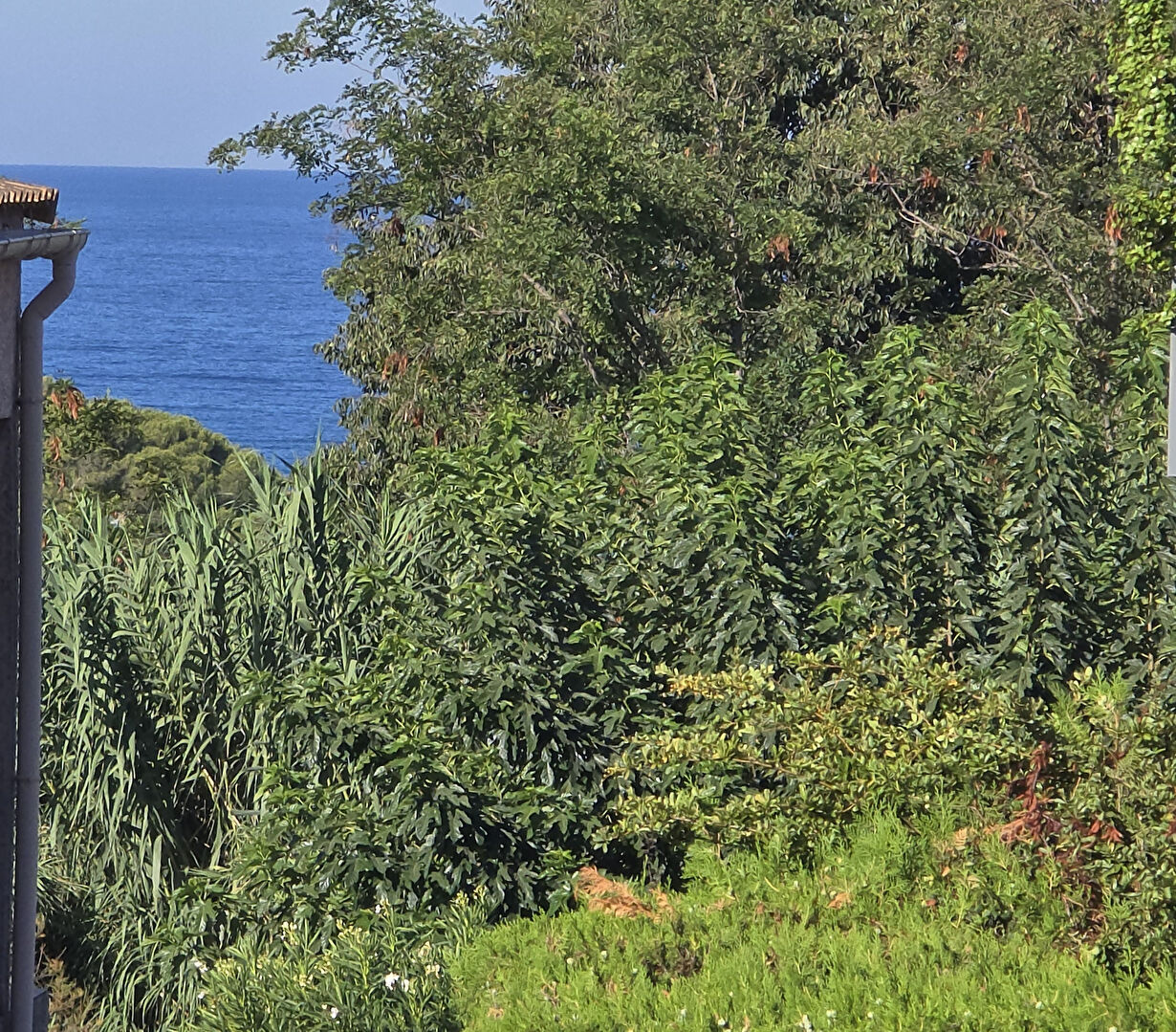 Photo 7 — l'Agence Autrement