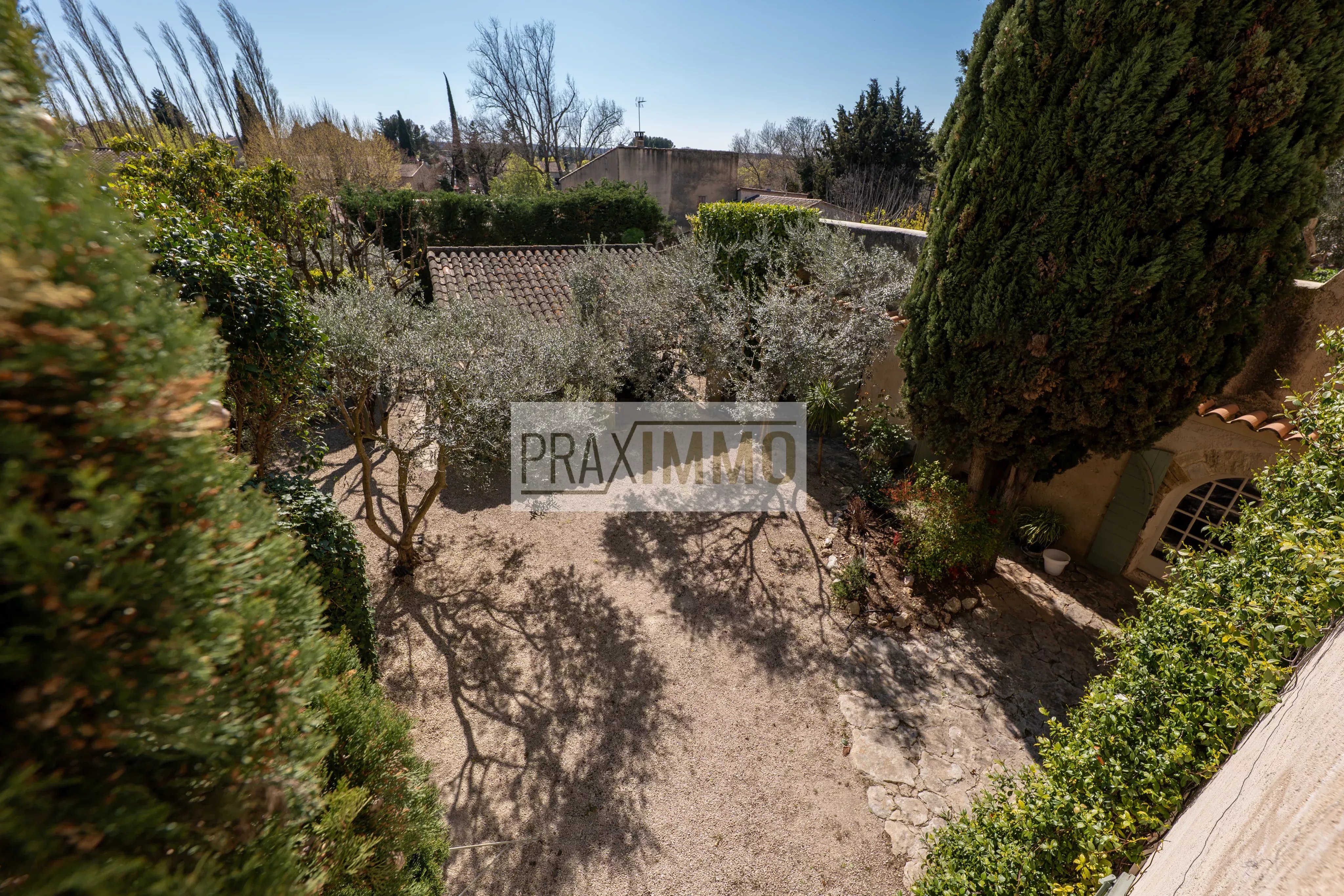Photo 7 — Praximmo