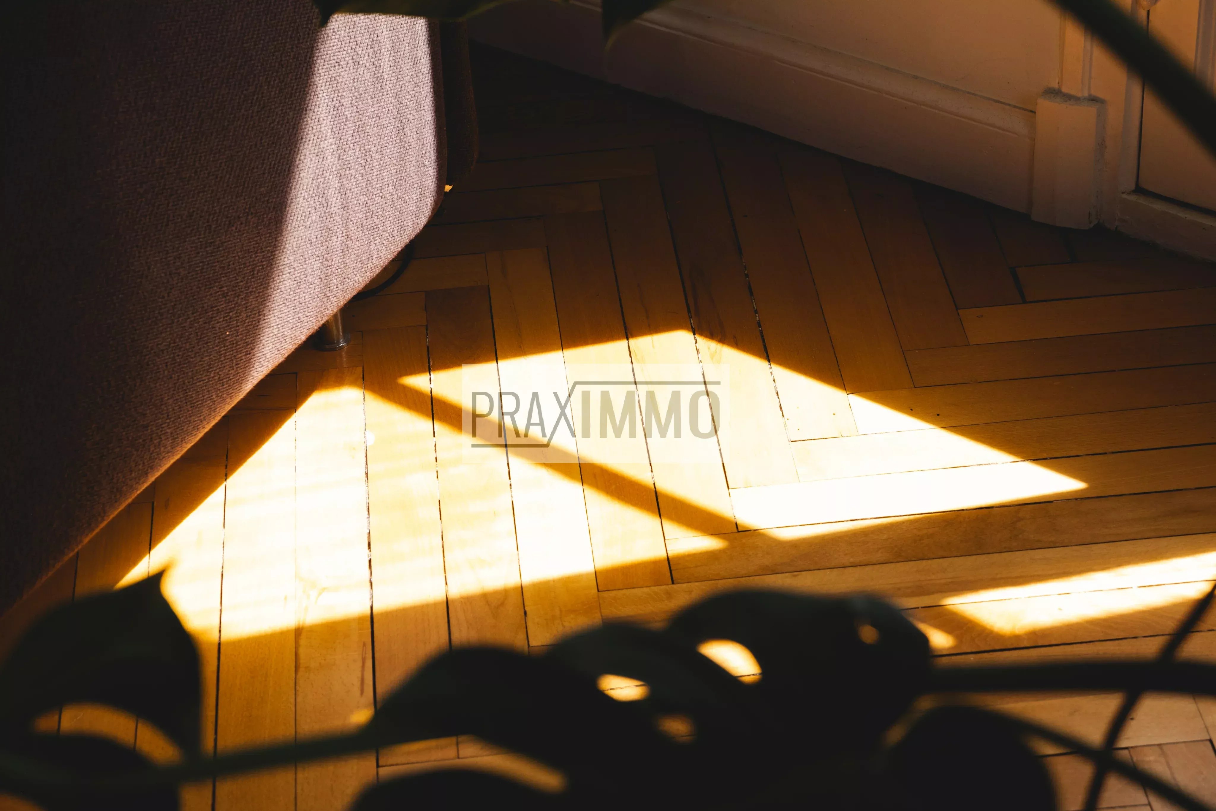 Photo 20 — Praximmo