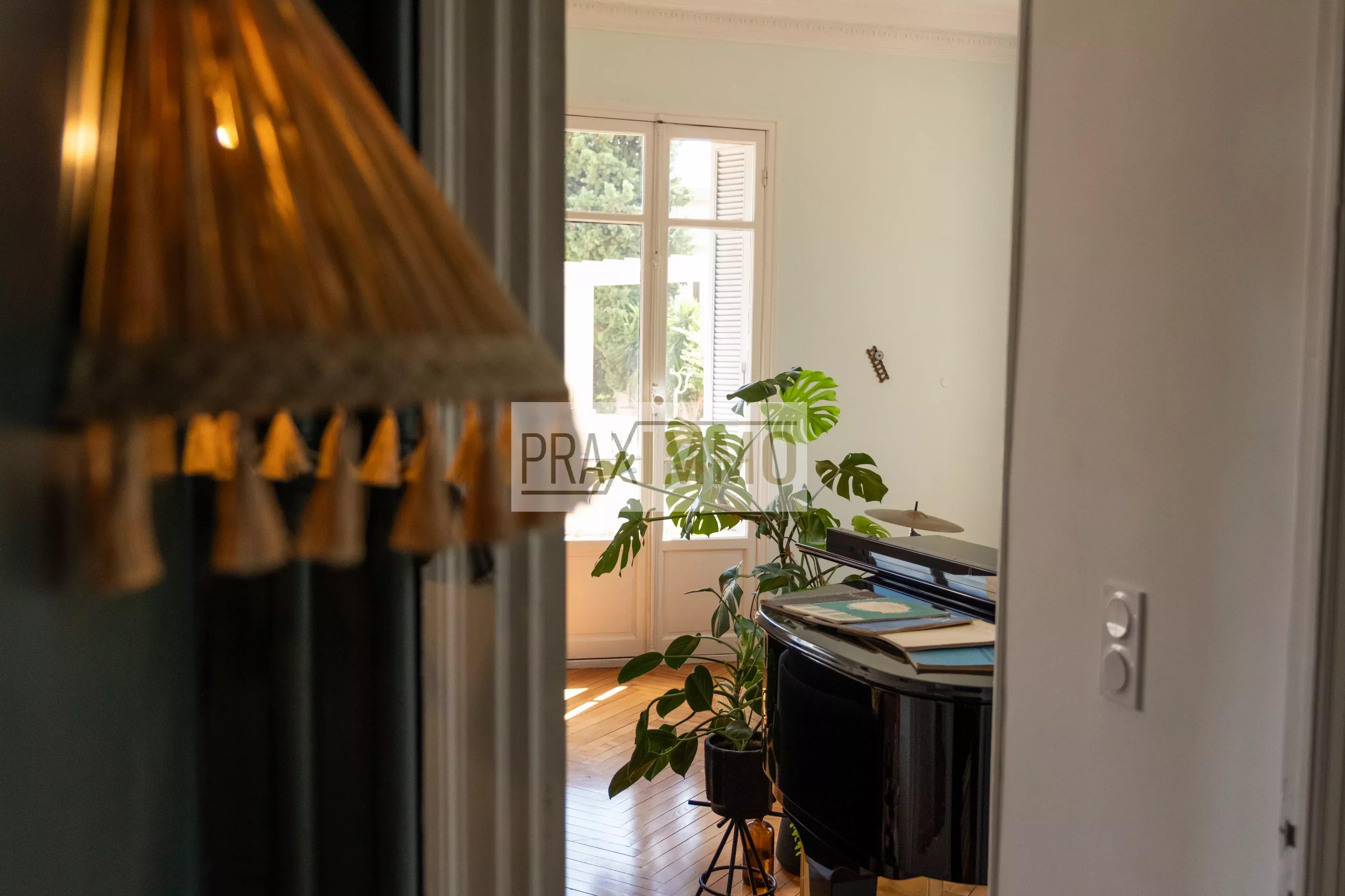 Photo 23 — Praximmo