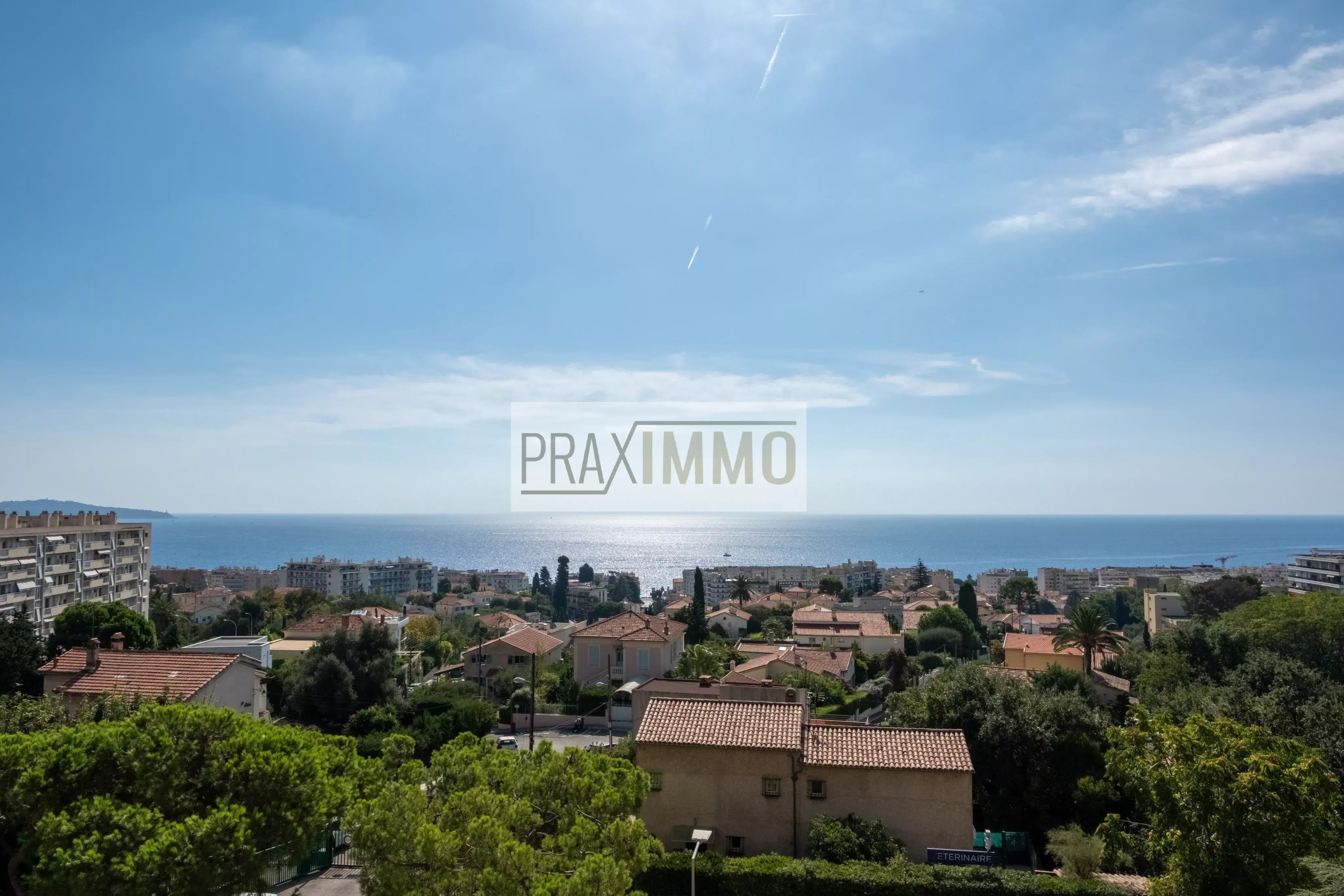 Photo 2 — Praximmo