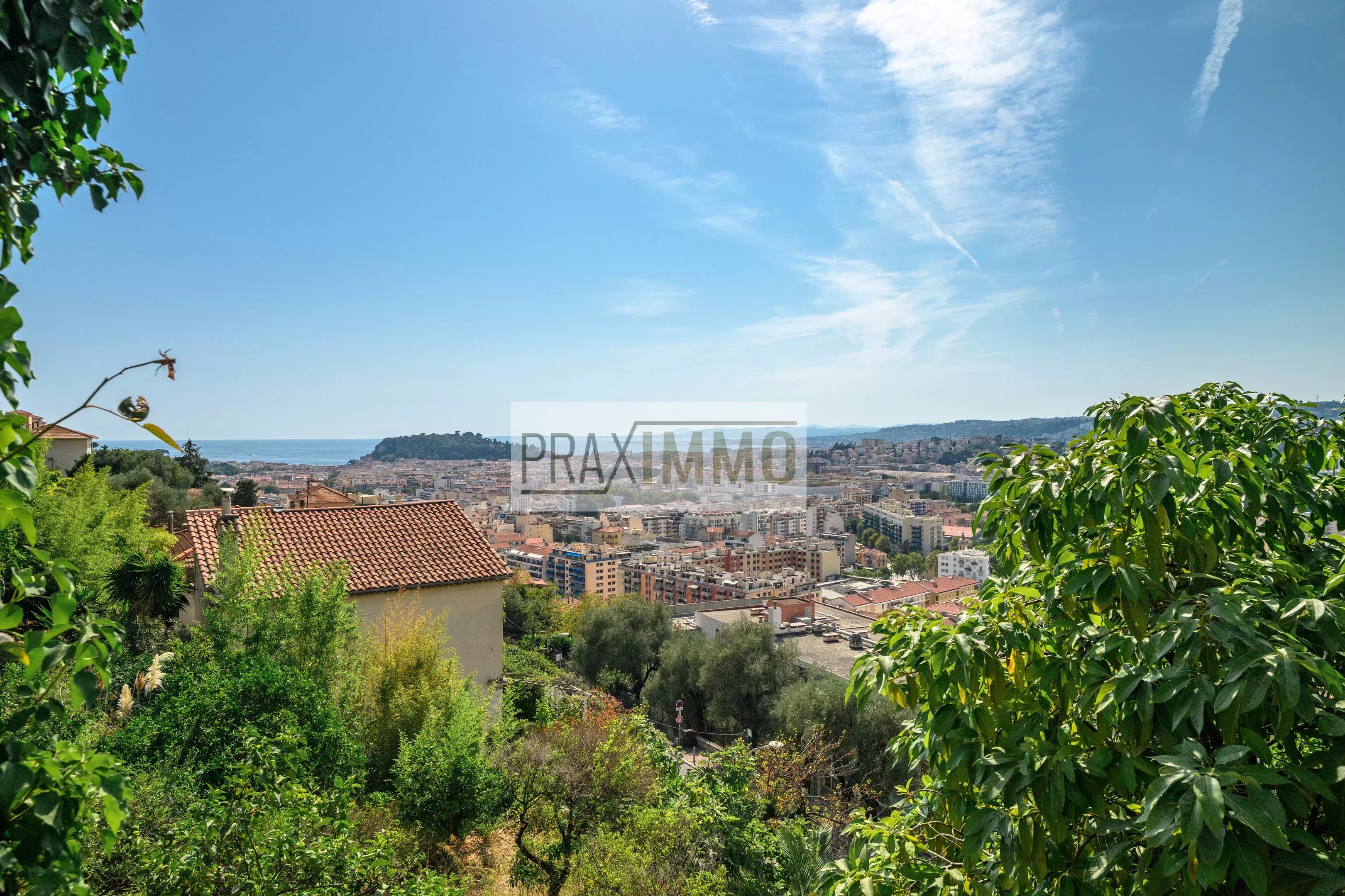 Photo 11 — Praximmo