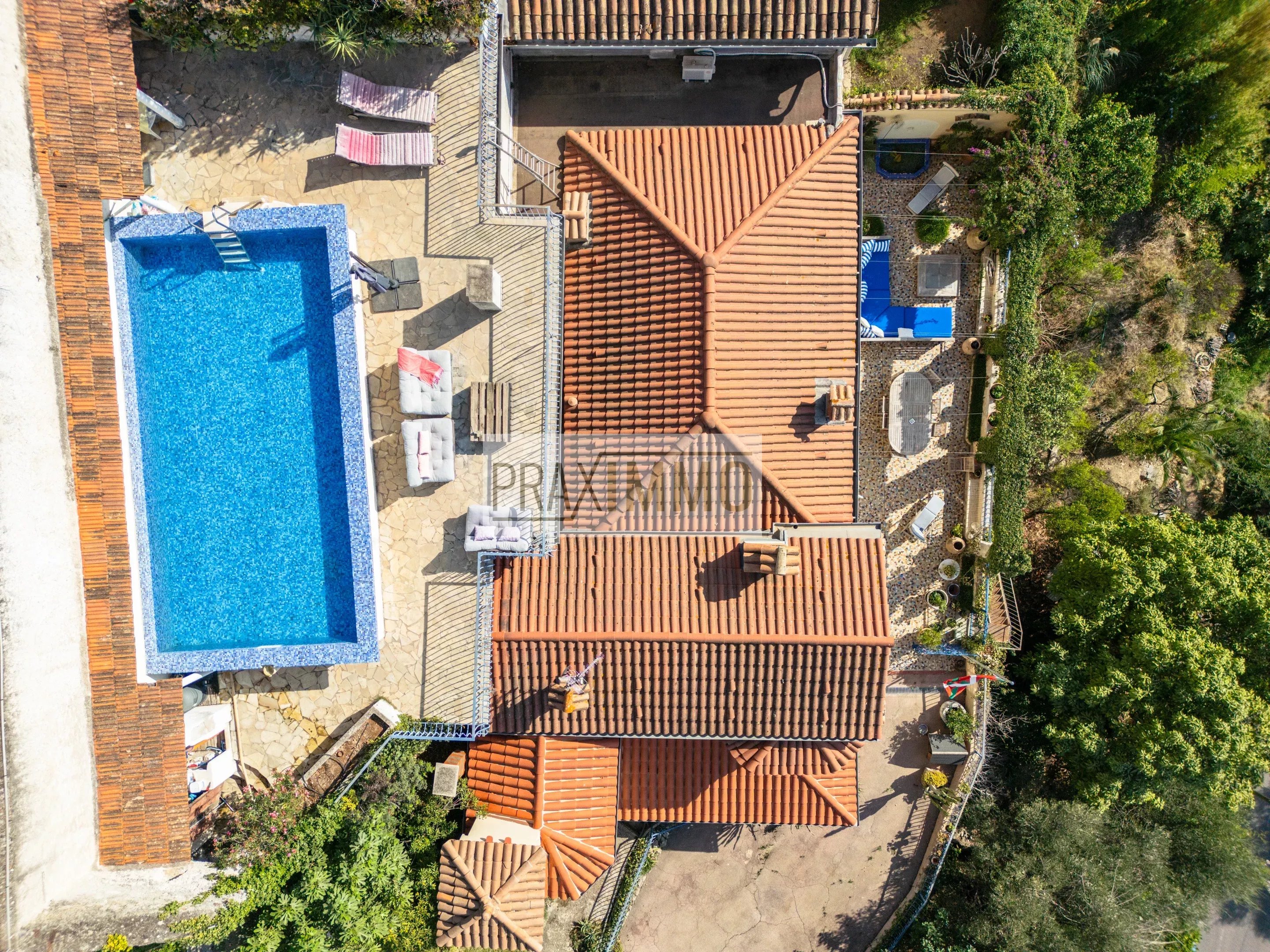 Photo 3 — Praximmo