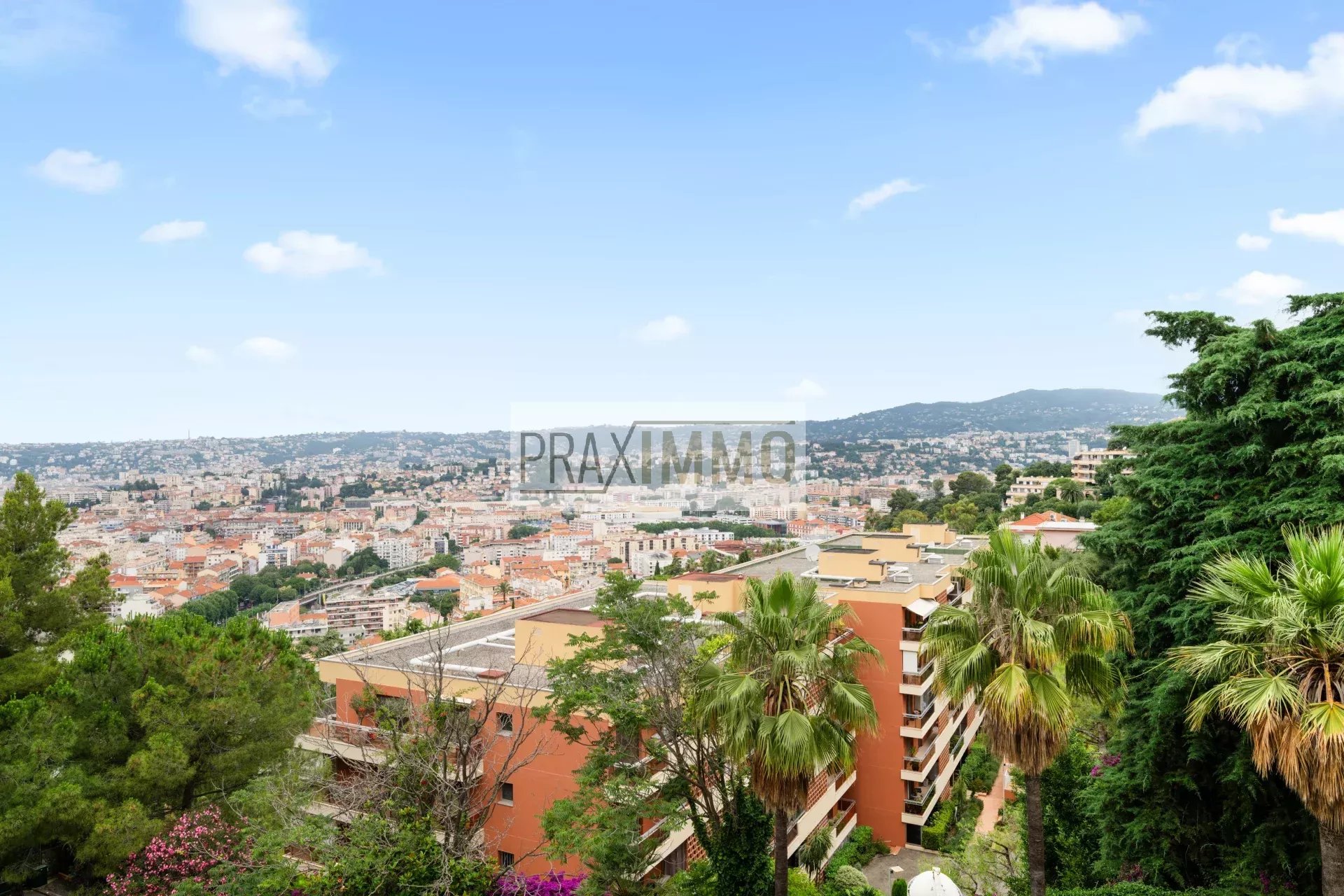 Photo 2 — Praximmo