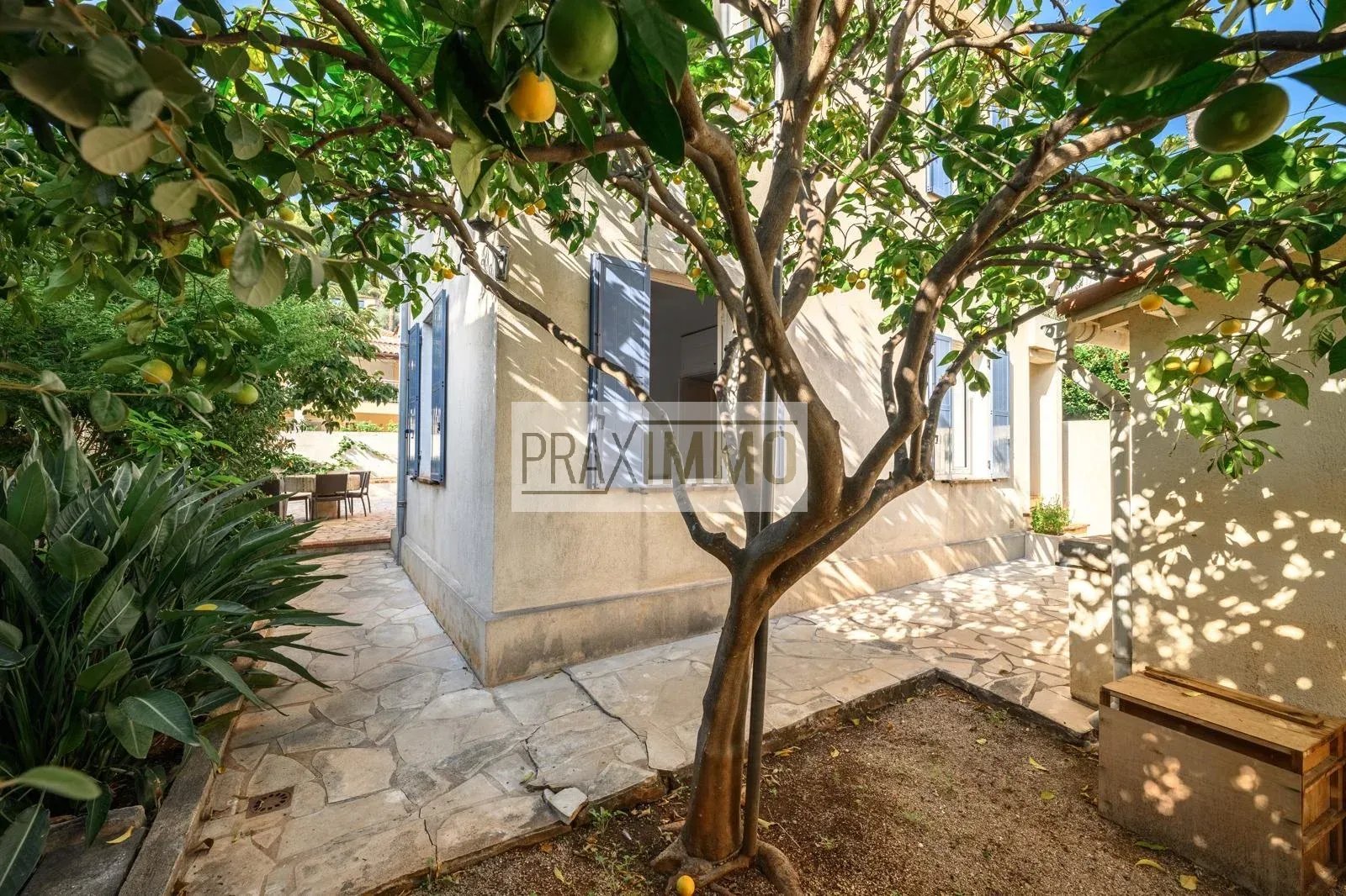 Photo 11 — Praximmo