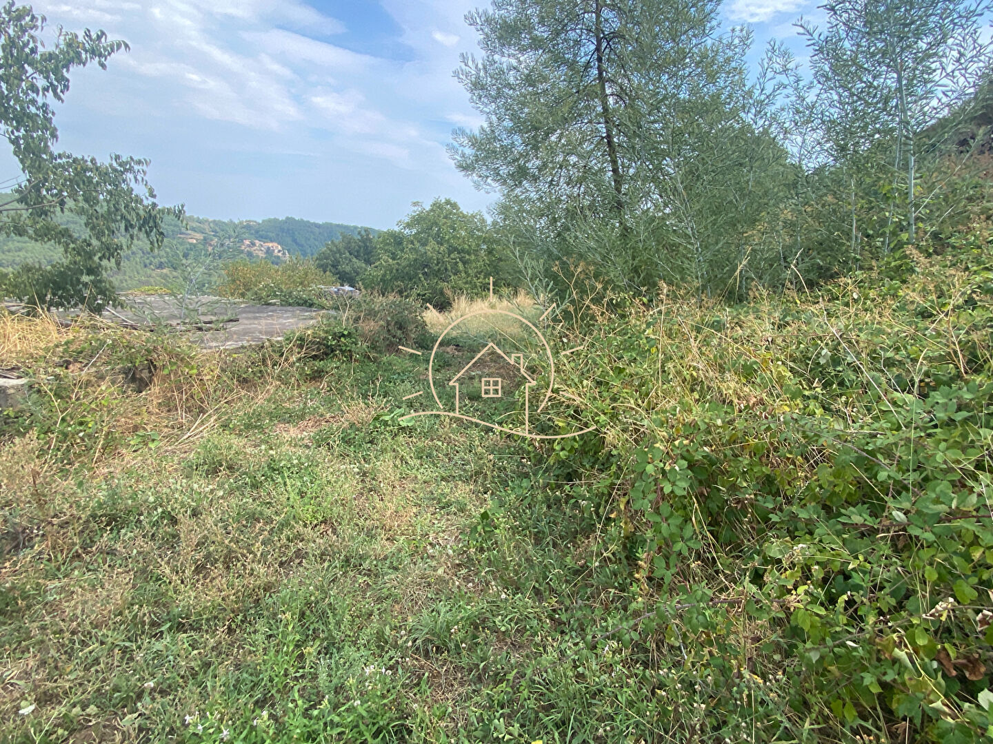 Photo 3 — Agence de la Plaine