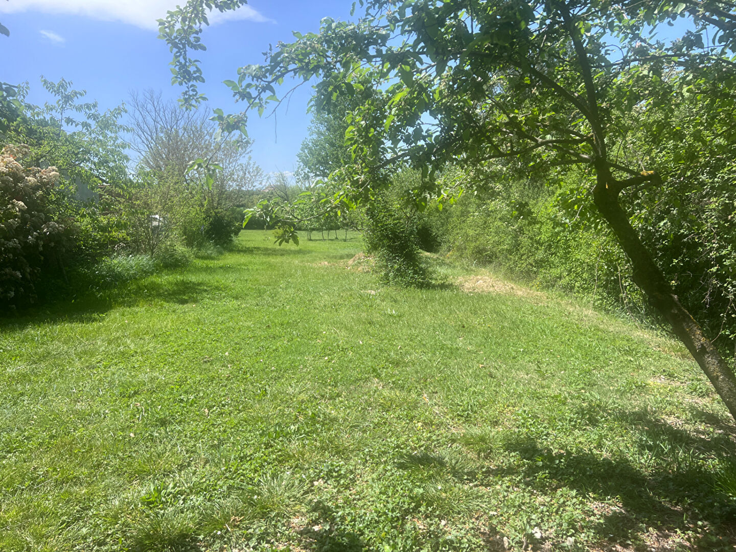Photo 3 — Agence de la Plaine