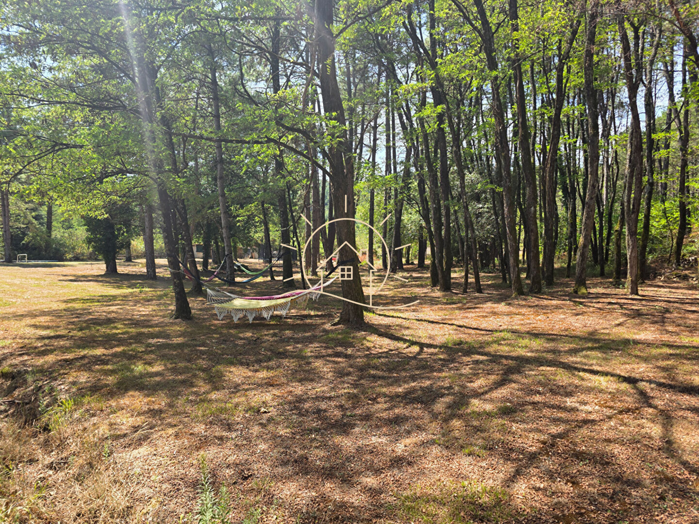 Photo 16 — Agence de la Plaine