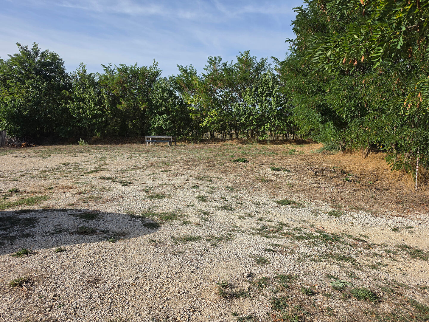 Photo 16 — Agence de la Plaine