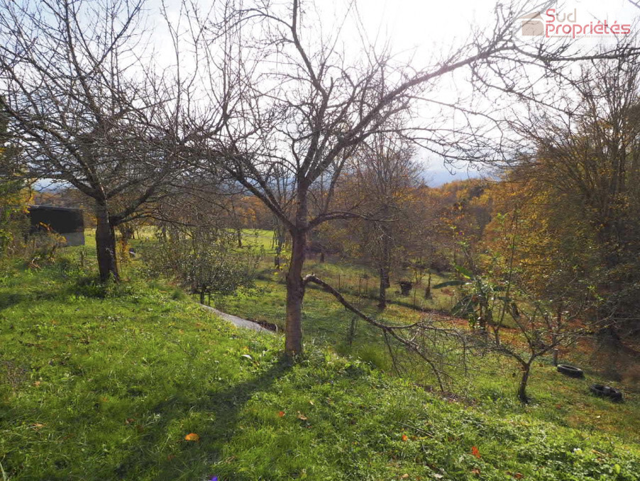Photo 23 — SUD PROPRIÉTÉS