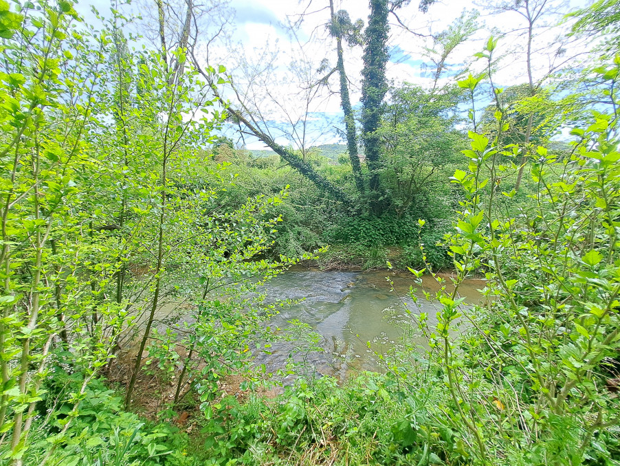 Photo 7 — SUD PROPRIÉTÉS