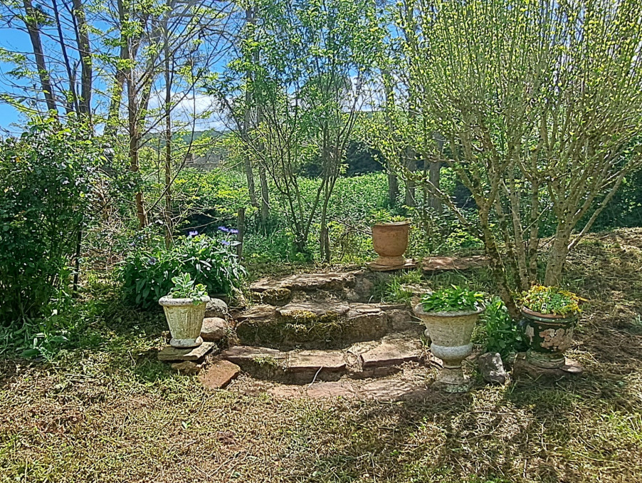 Photo 8 — SUD PROPRIÉTÉS