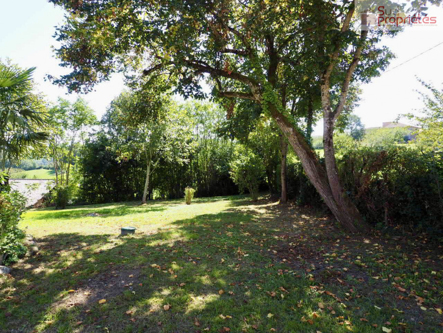 Photo 23 — SUD PROPRIÉTÉS