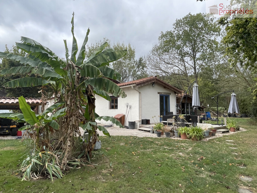 Photo 2 — SUD PROPRIÉTÉS