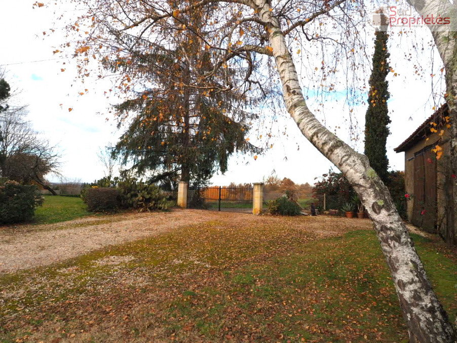 Photo 21 — SUD PROPRIÉTÉS
