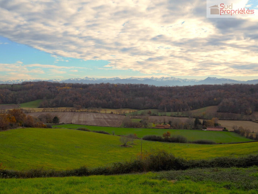Photo 6 — SUD PROPRIÉTÉS