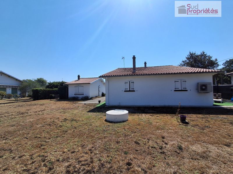 Photo 5 — SUD PROPRIÉTÉS
