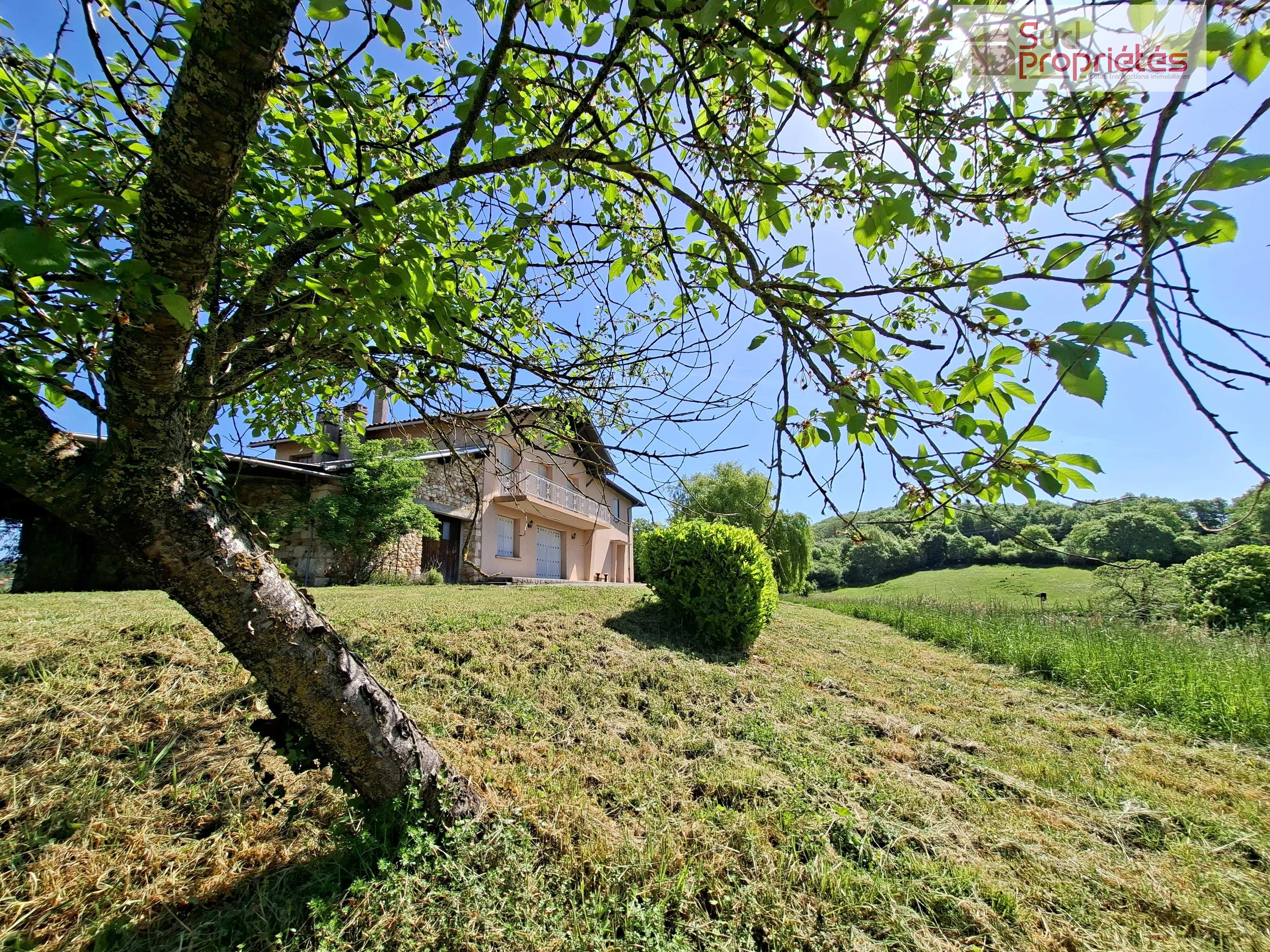 Photo 3 — SUD PROPRIÉTÉS