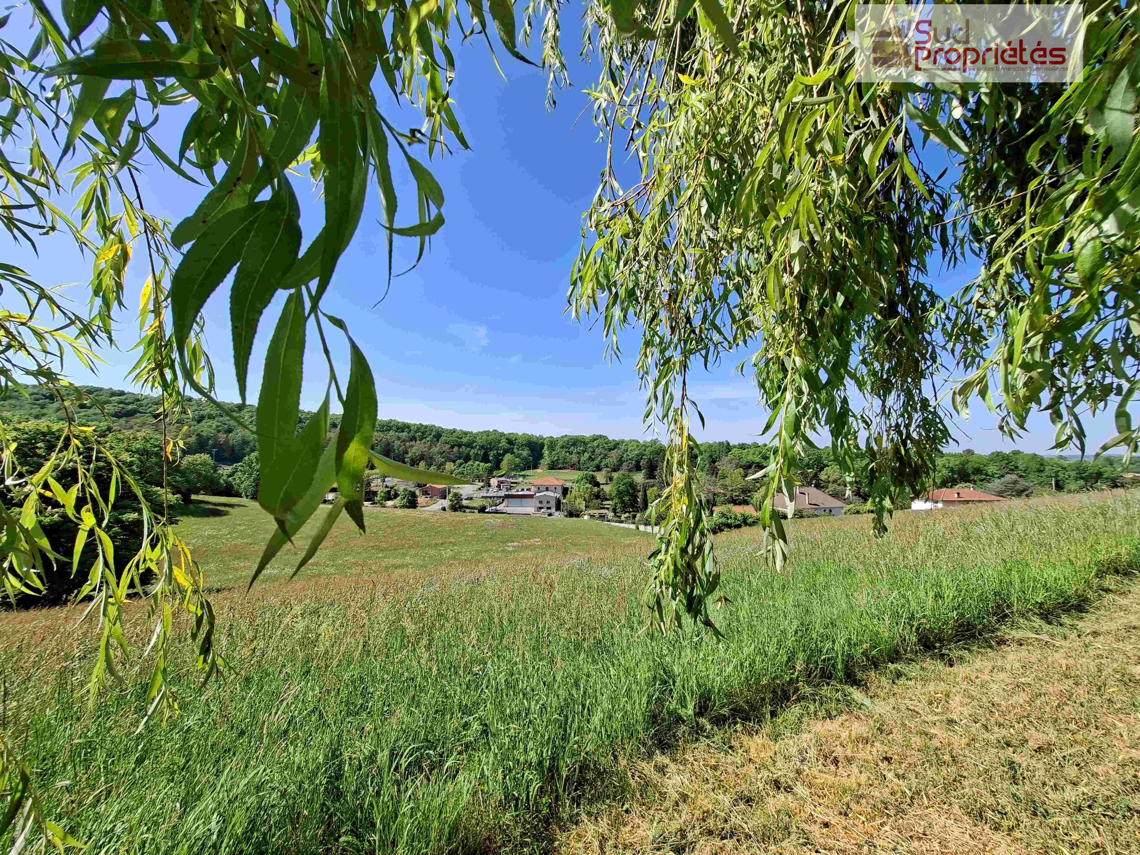 Photo 5 — SUD PROPRIÉTÉS