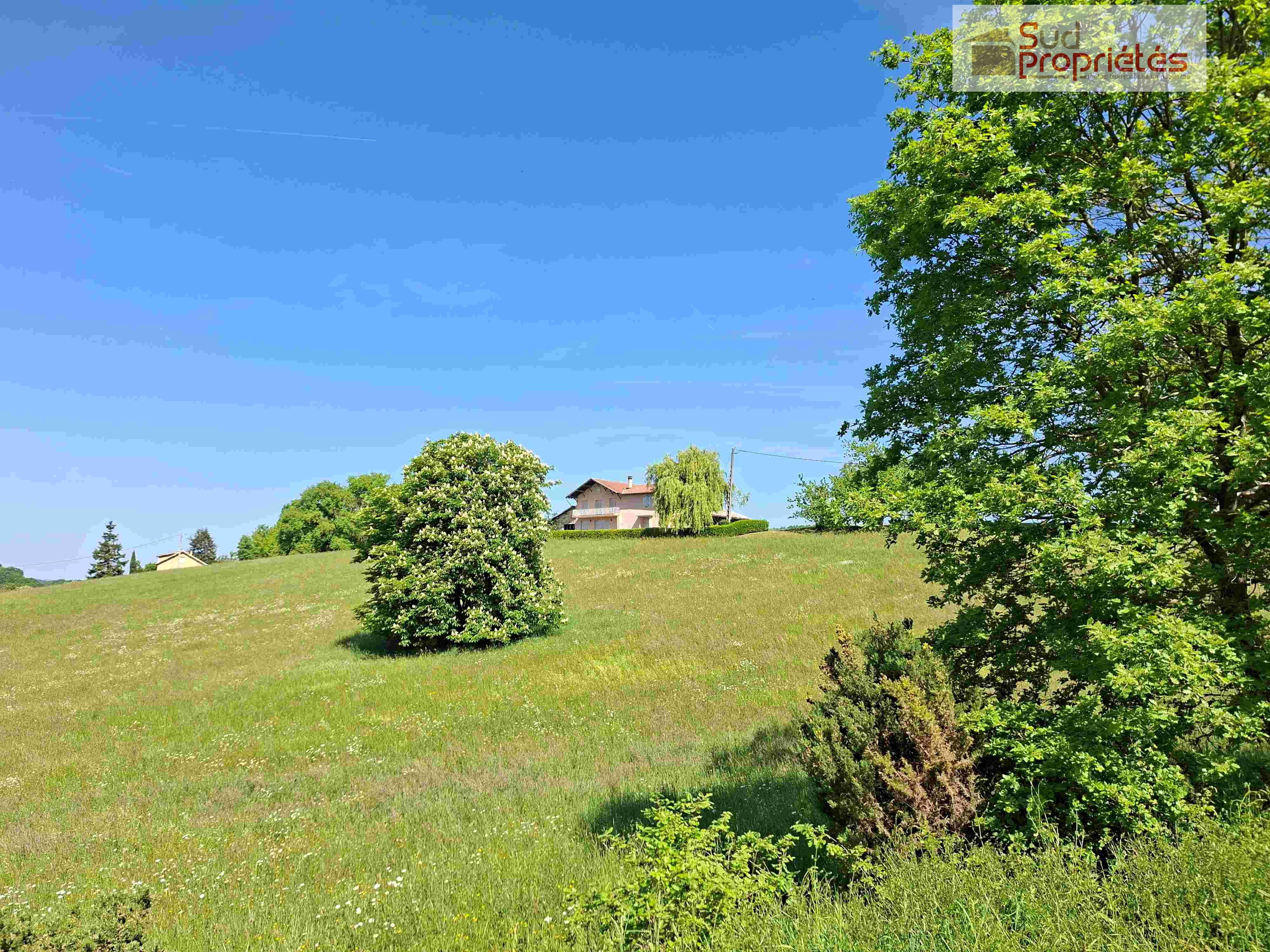 Photo 2 — SUD PROPRIÉTÉS