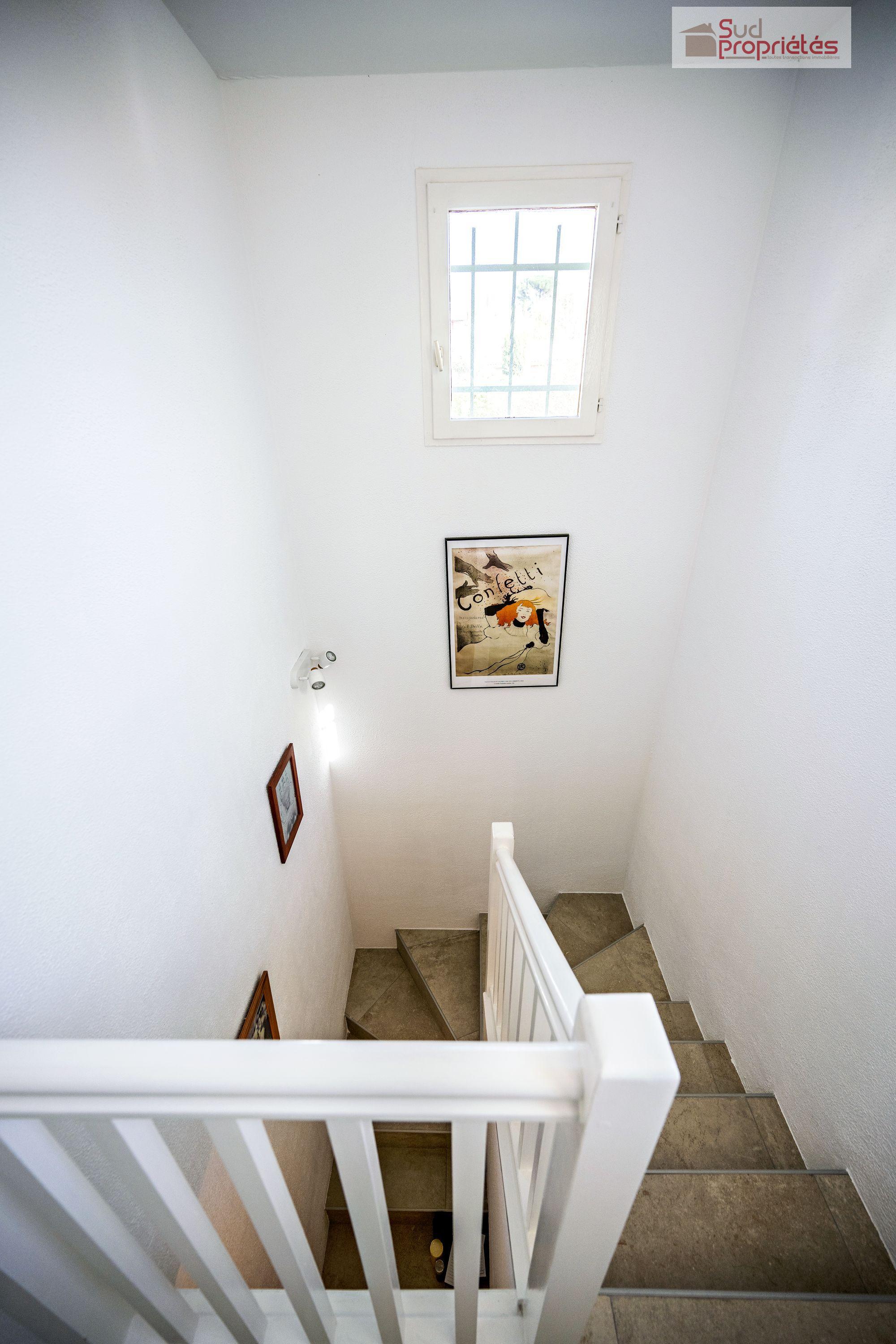 Photo 8 — SUD PROPRIÉTÉS