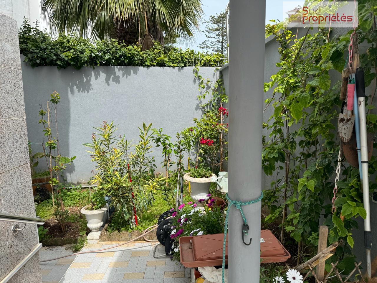 Photo 6 — SUD PROPRIÉTÉS
