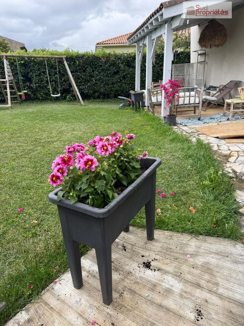 Photo 18 — SUD PROPRIÉTÉS