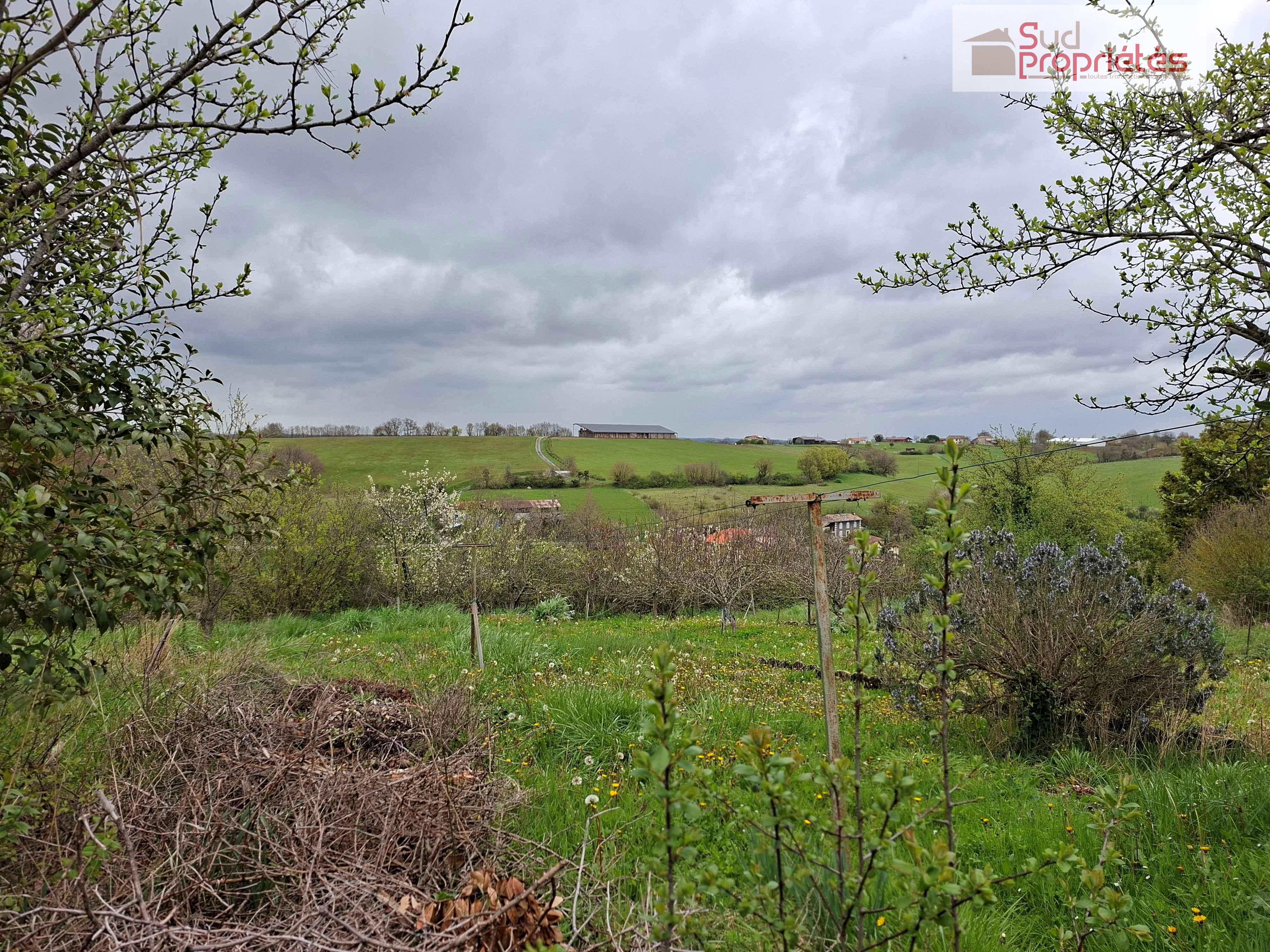 Photo 19 — SUD PROPRIÉTÉS