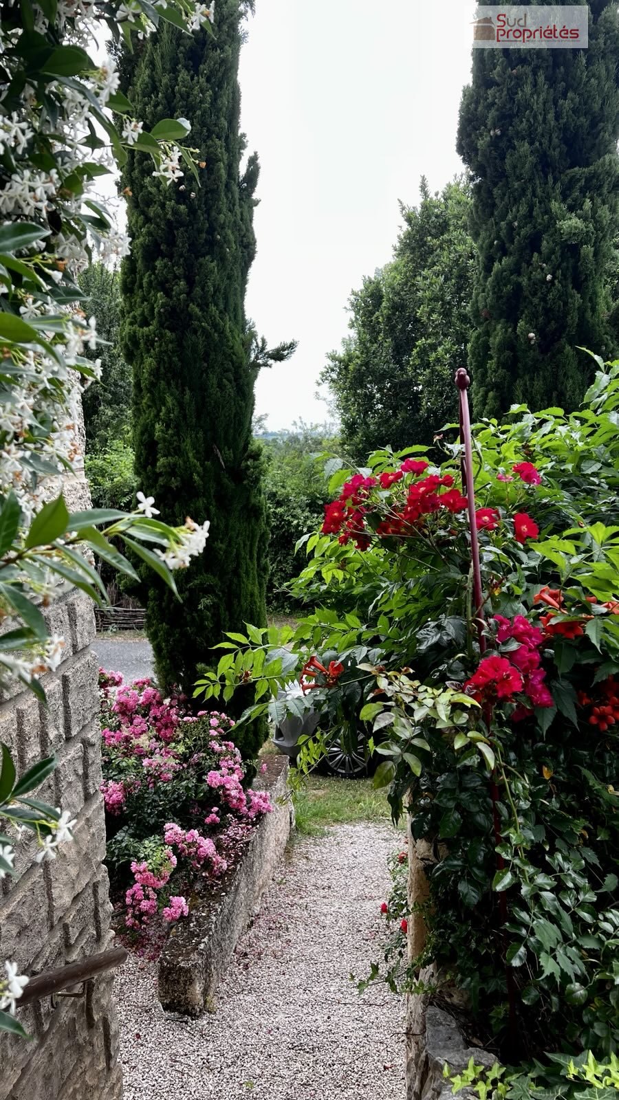 Photo 4 — SUD PROPRIÉTÉS