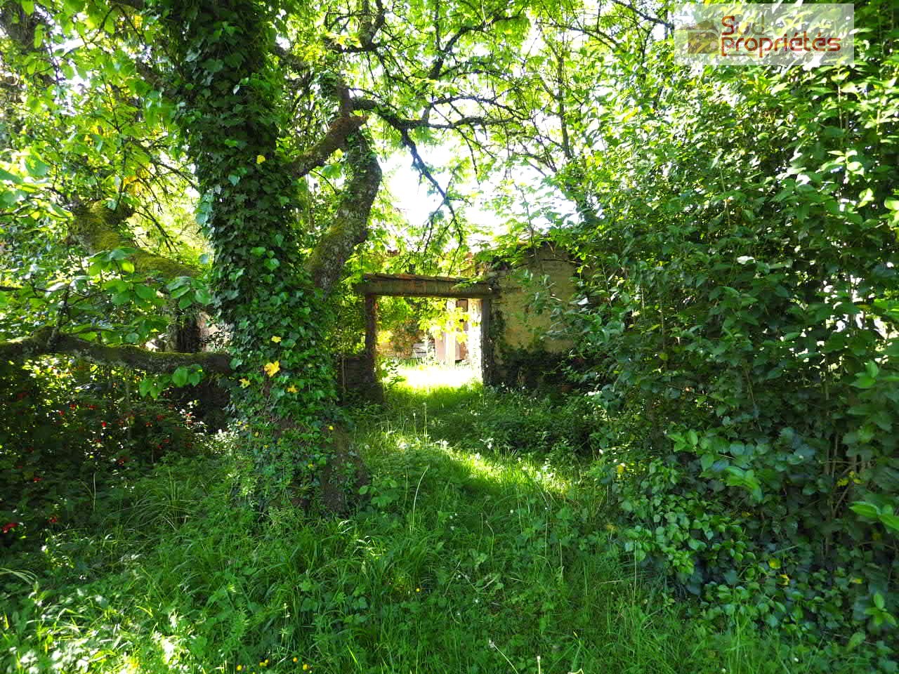 Photo 7 — SUD PROPRIÉTÉS