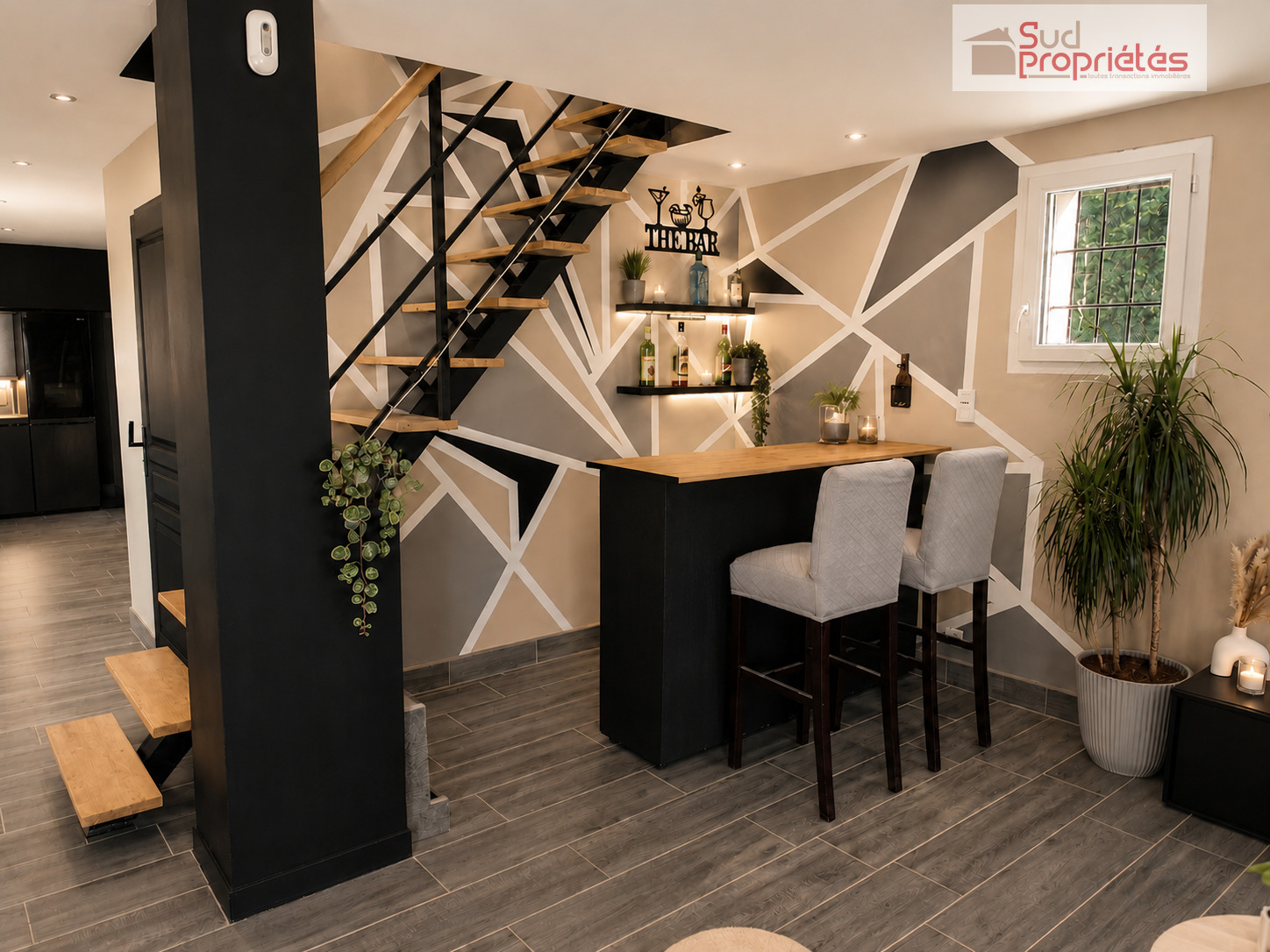 Photo 11 — SUD PROPRIÉTÉS