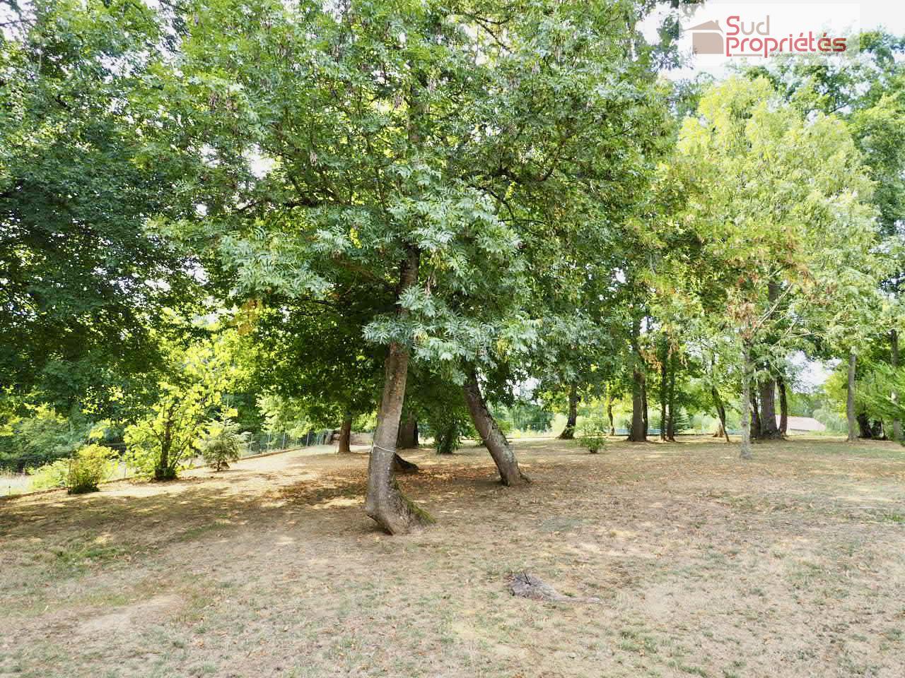 Photo 17 — SUD PROPRIÉTÉS