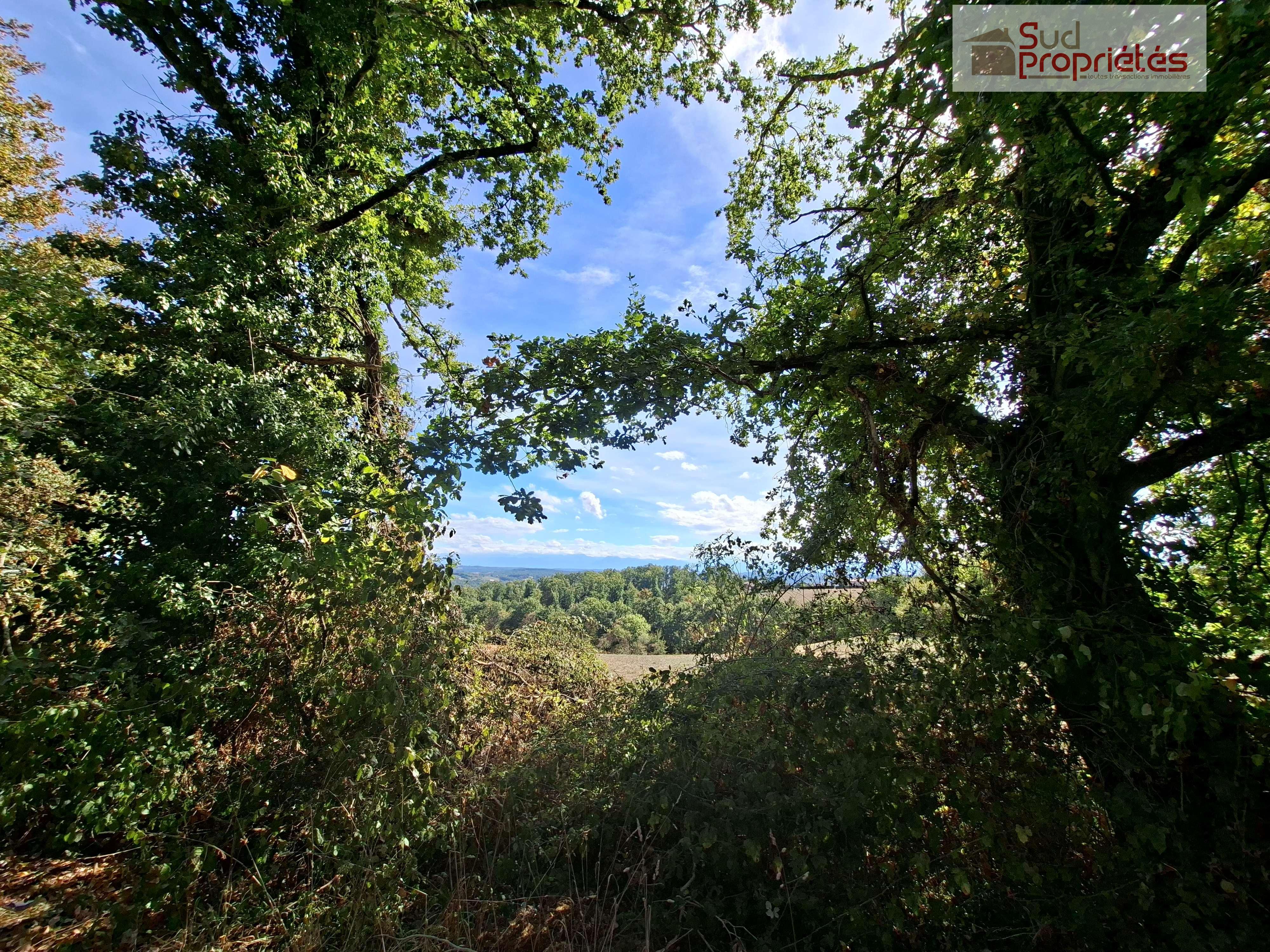 Photo 4 — SUD PROPRIÉTÉS