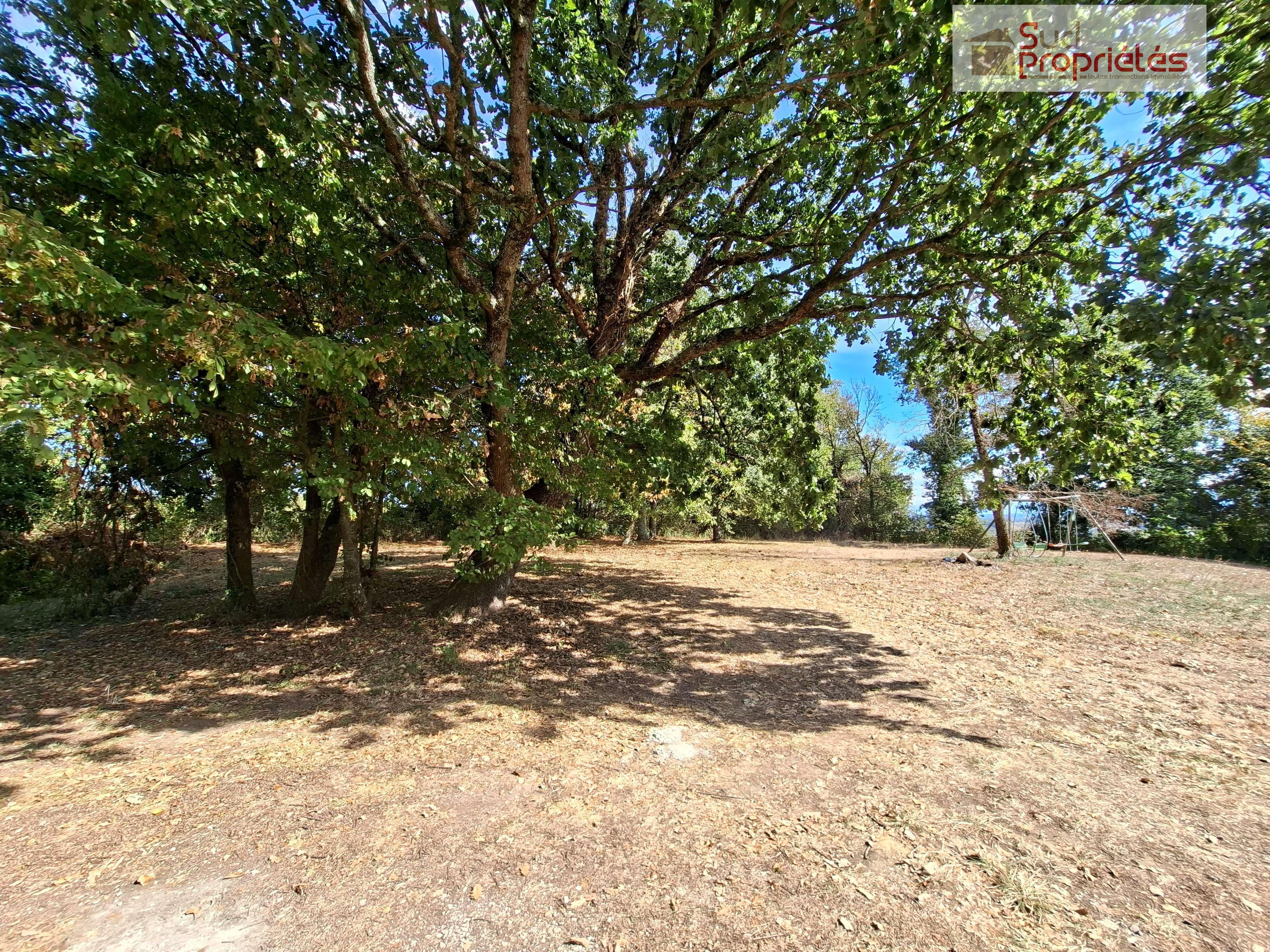 Photo 5 — SUD PROPRIÉTÉS
