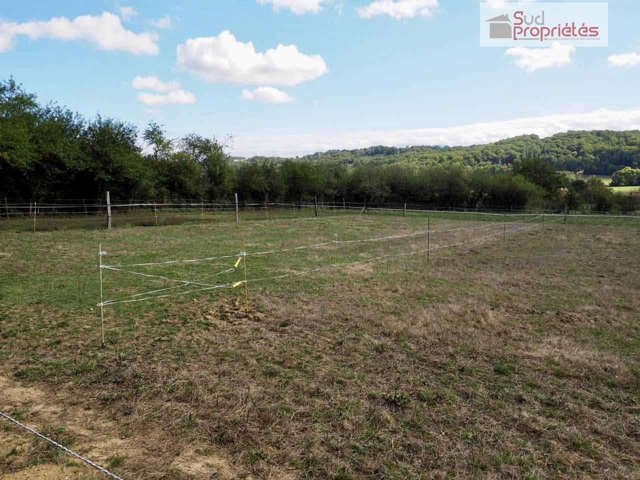 Photo 24 — SUD PROPRIÉTÉS