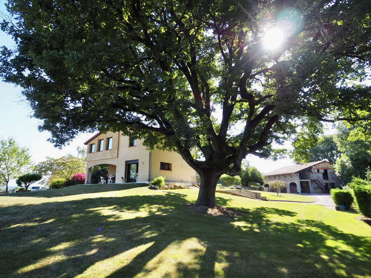 Photo 6 — SUD PROPRIÉTÉS