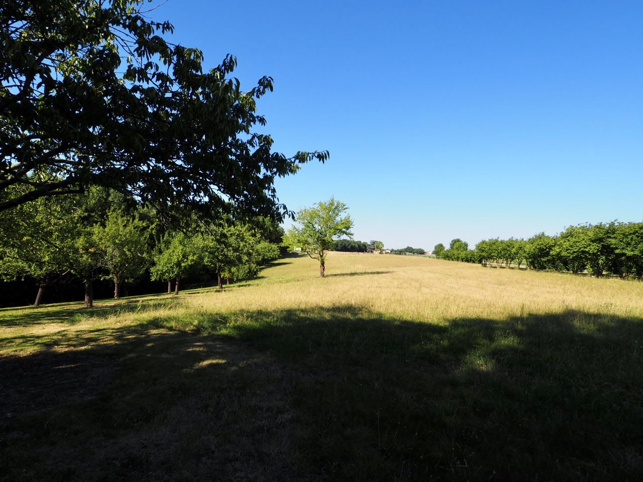 Photo 23 — SUD PROPRIÉTÉS