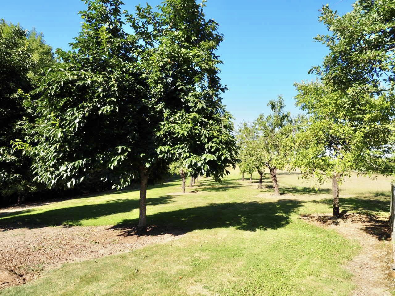 Photo 24 — SUD PROPRIÉTÉS