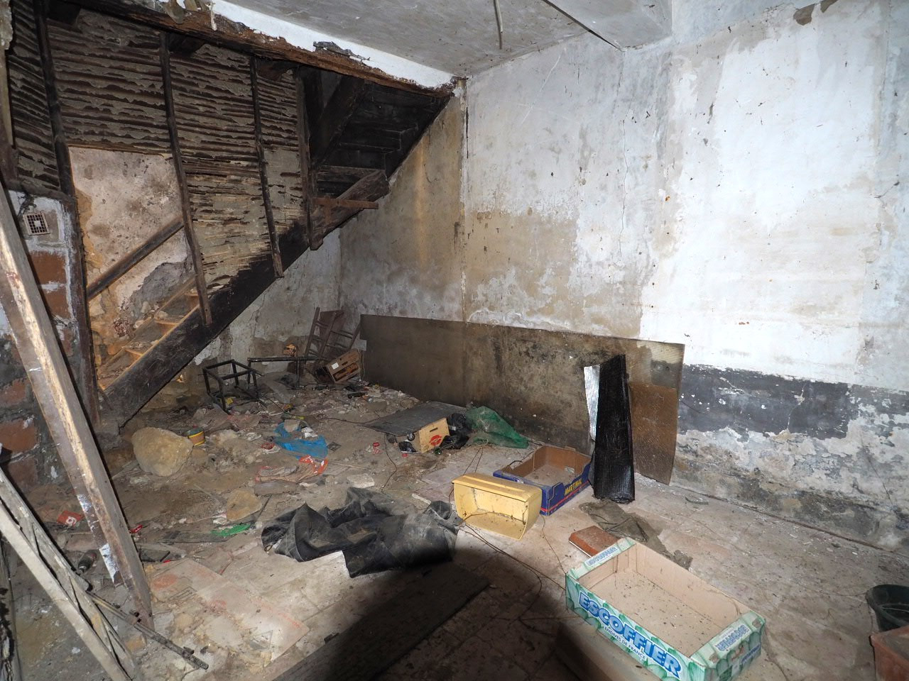 Photo 5 — SUD PROPRIÉTÉS