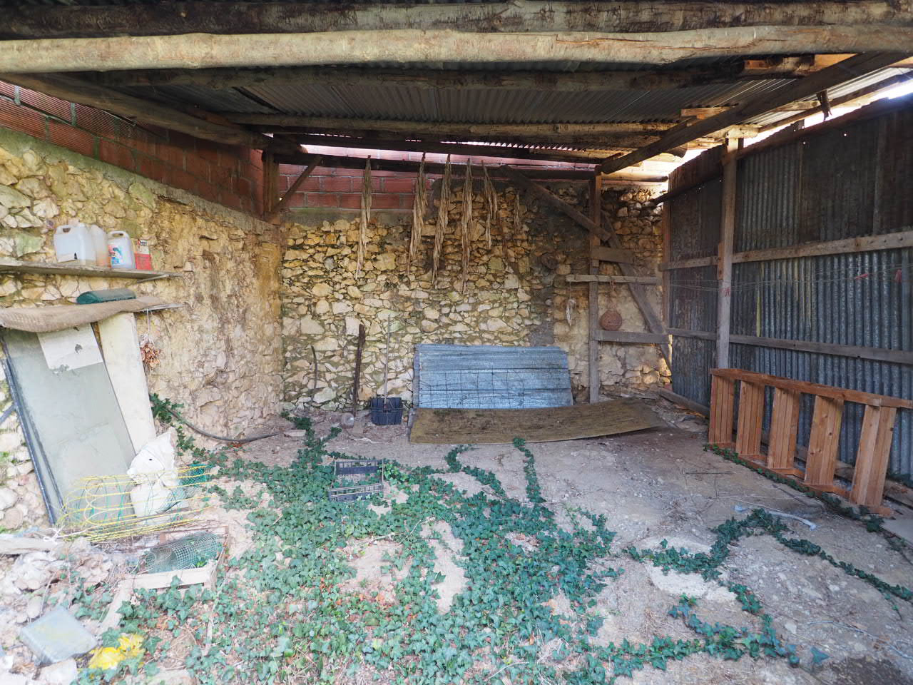 Photo 13 — SUD PROPRIÉTÉS