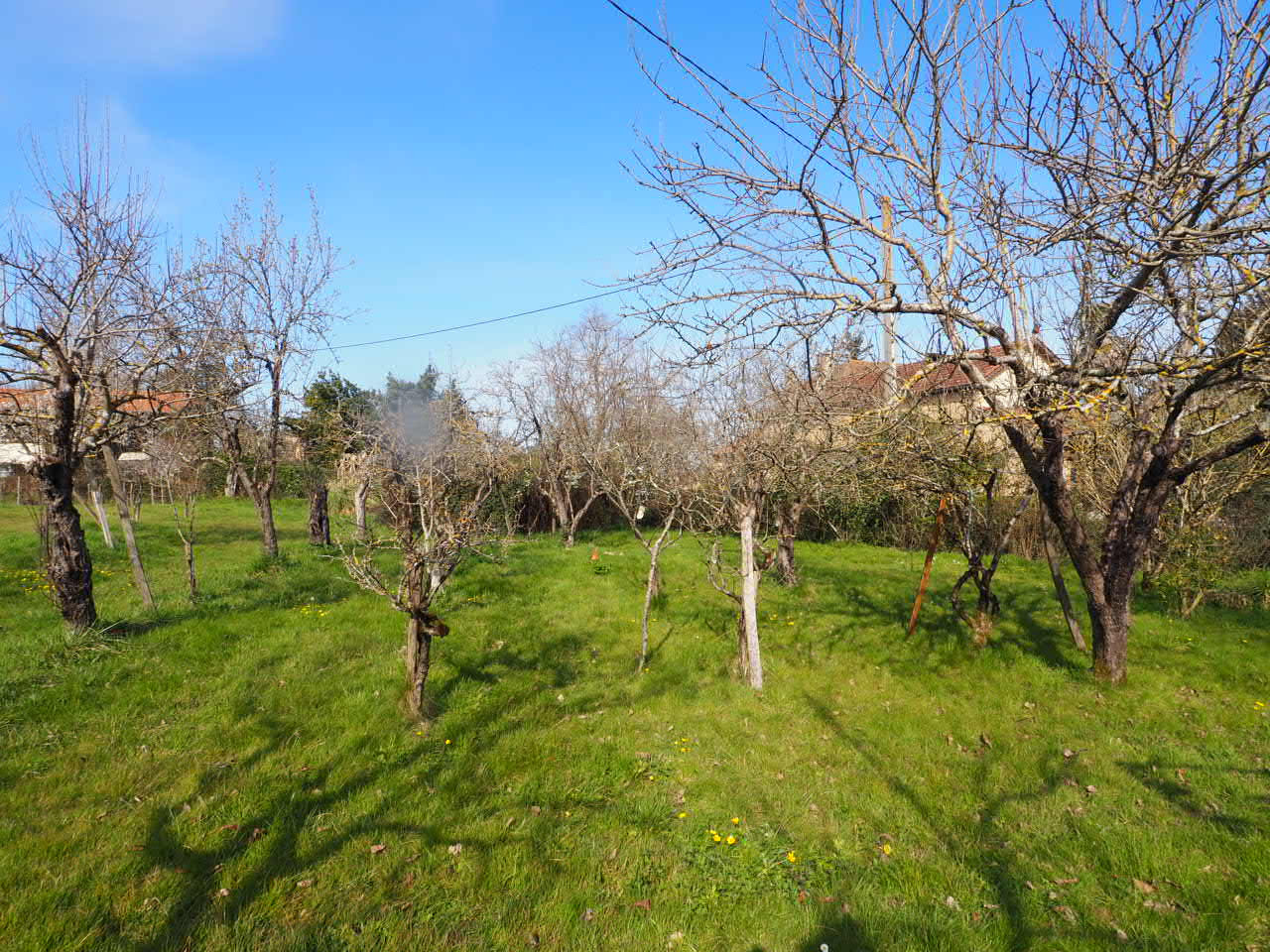 Photo 17 — SUD PROPRIÉTÉS