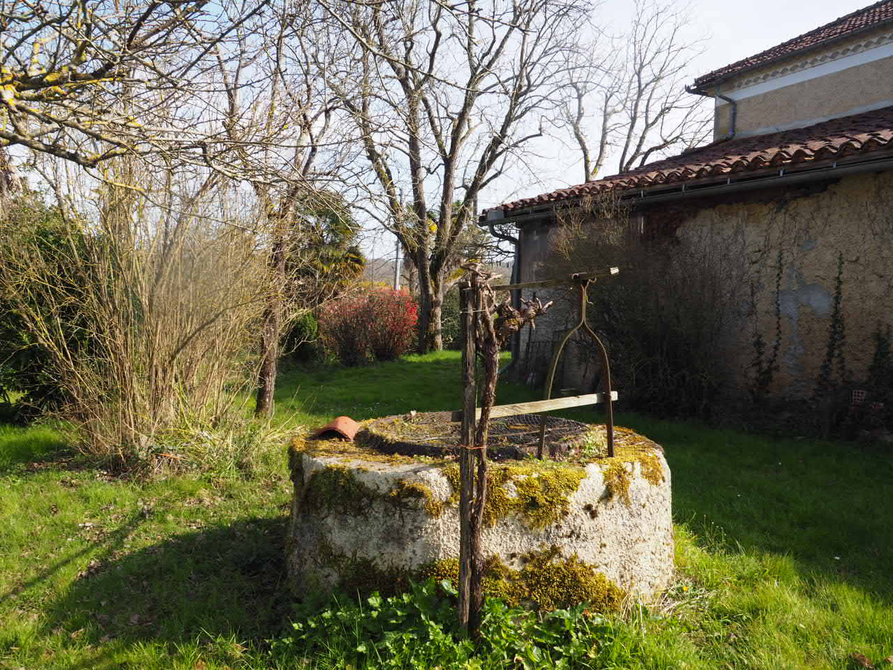 Photo 16 — SUD PROPRIÉTÉS